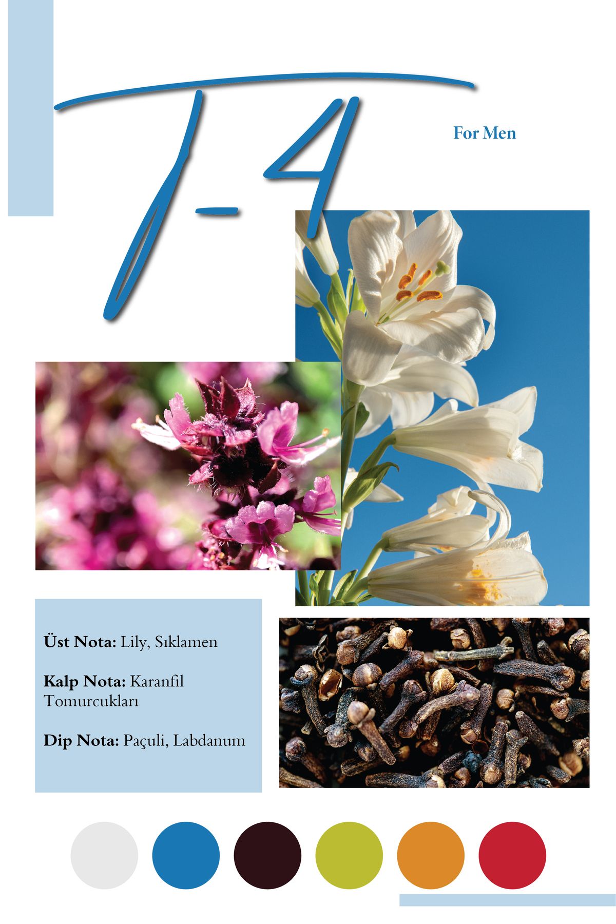 عطر مردانه T 4 100 میل Frederic Patric