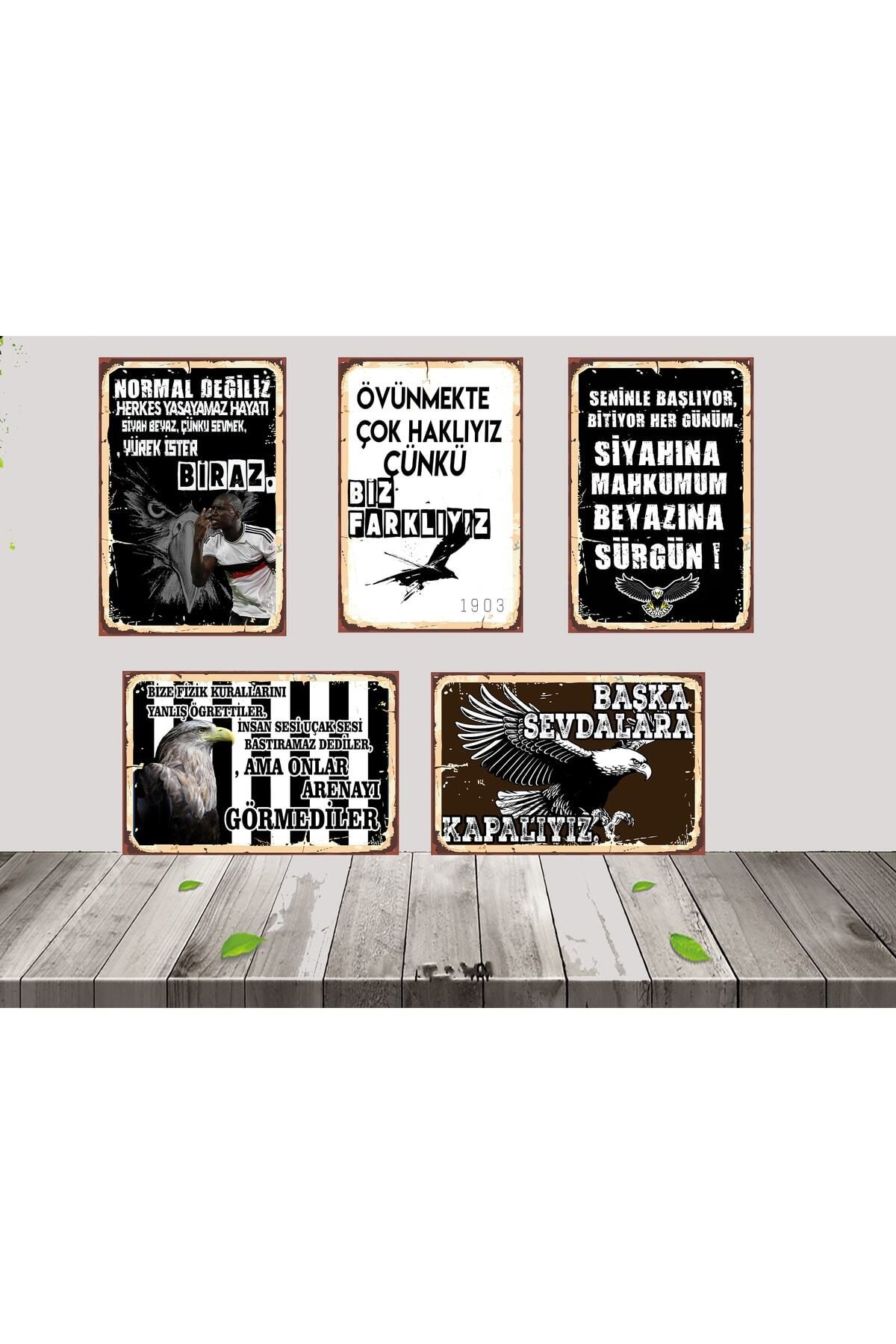 TAKIFİX Normal Değiliz 5 Adet 20x30 Cm Boyutunda Mdf Tablo Setı