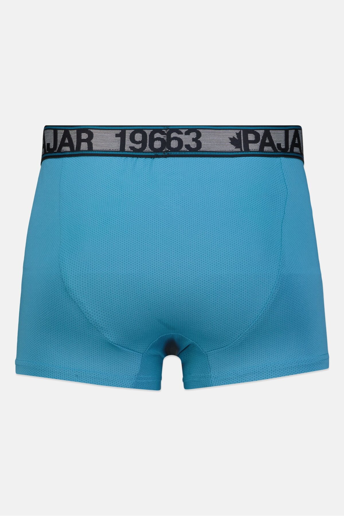 Pajar-Men 3 Pack Brand Logo Boxer Brief, Grey/Turquoise 2
