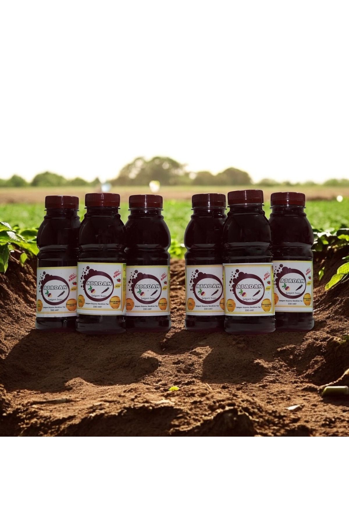 ATADAN ŞALGAM SUYU Katkısız,koruyucusuz,doğal Şili Biberle Mayaıyoruz. 0,330 ml Acılı Şalgam Suyu (6 ADET)