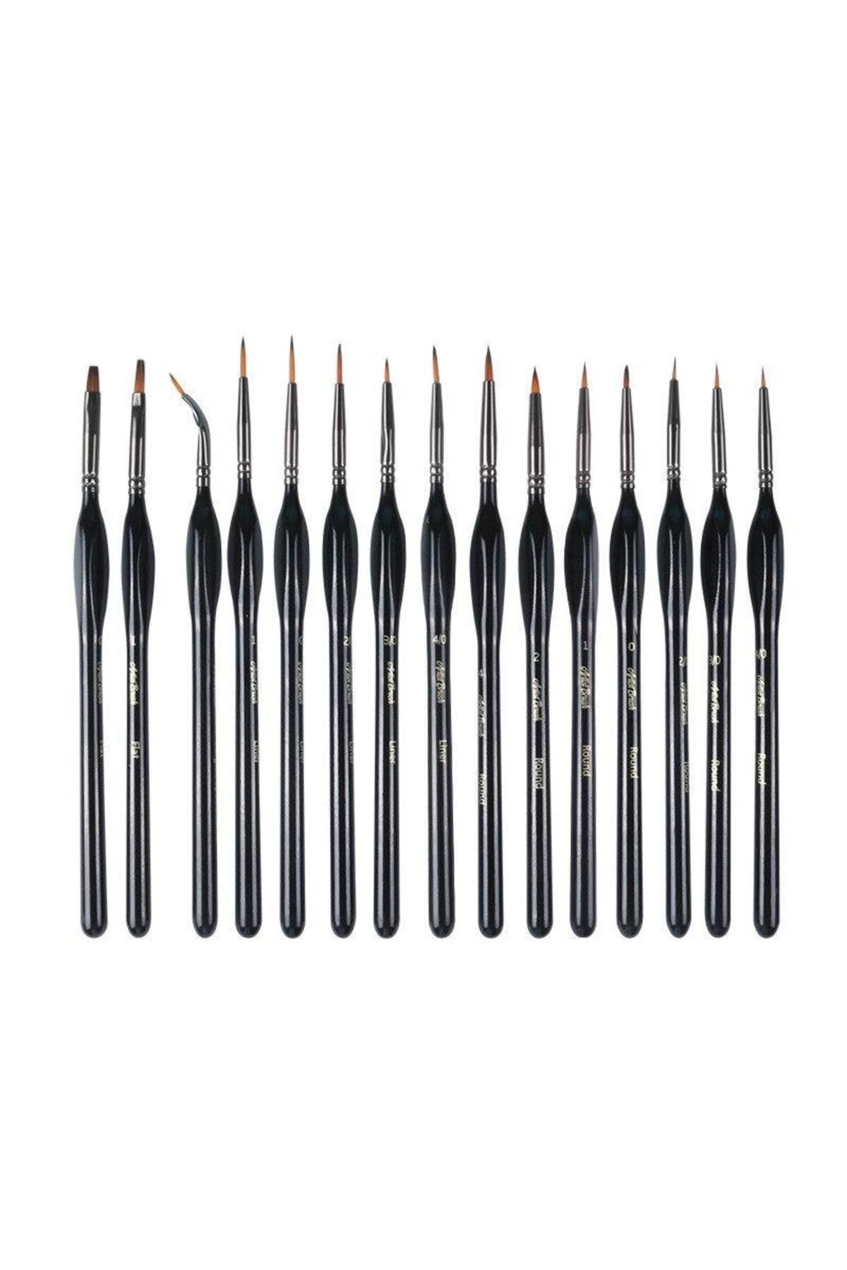 valkyrie-Giorgione 15 Pieces Professional Paint Brush Set 2
