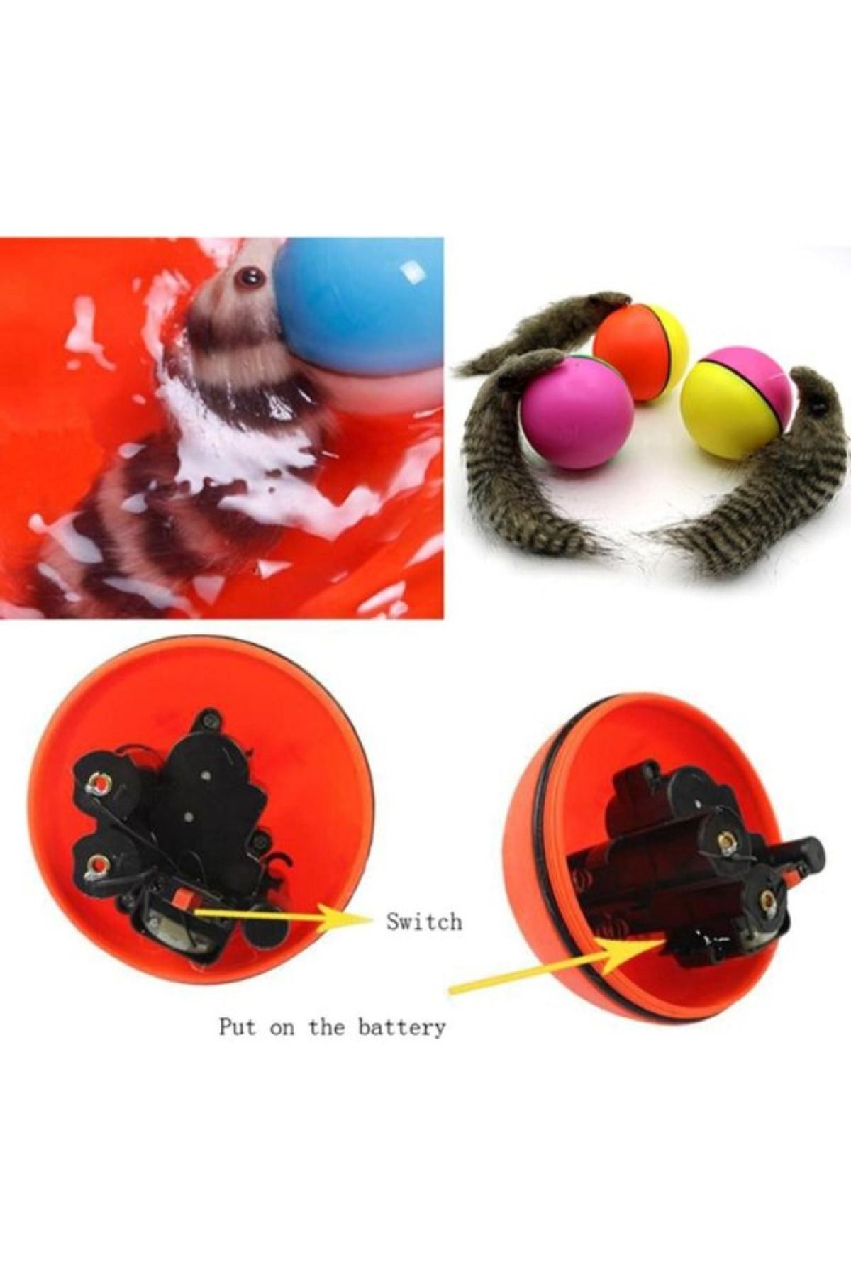 leyla sanat sanata yeni bir bakış açısı-Animated Raccoon Cat Dog Toy 24242415274 3
