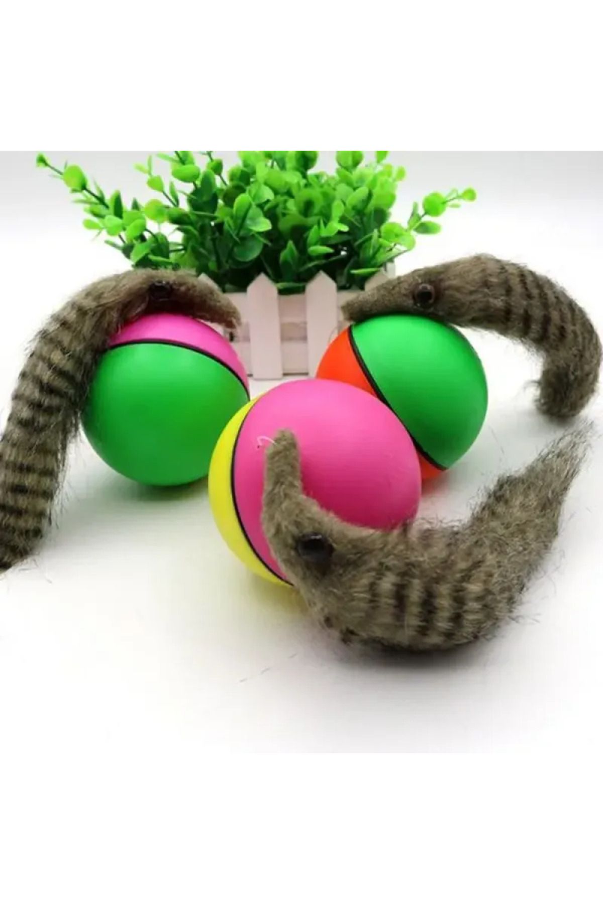 leyla sanat sanata yeni bir bakış açısı-Animated Raccoon Cat Dog Toy 24242415274 6