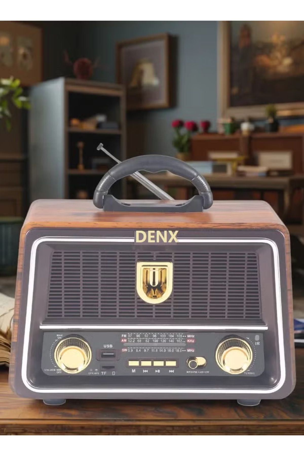 Denx-Dx2442 Rechargeable Hi-fi Radio With Remote Control, Large Capacity Battery 5