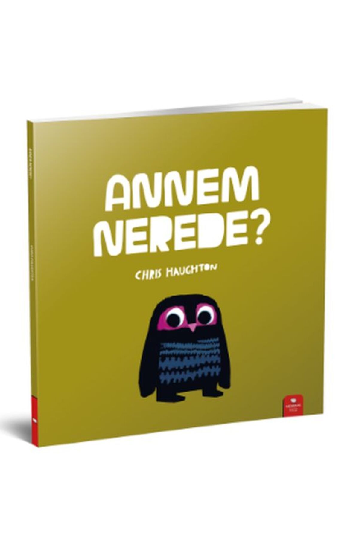 Destek Yayınları Annem Nerede