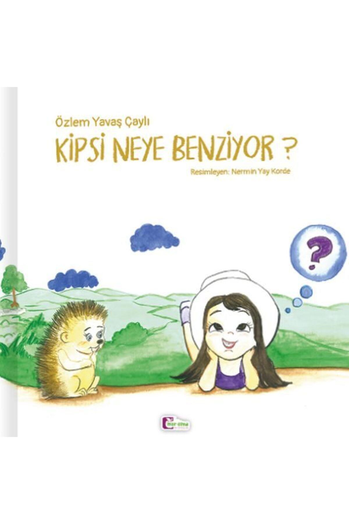 Destek Yayınları Kipsi Neye Benziyor