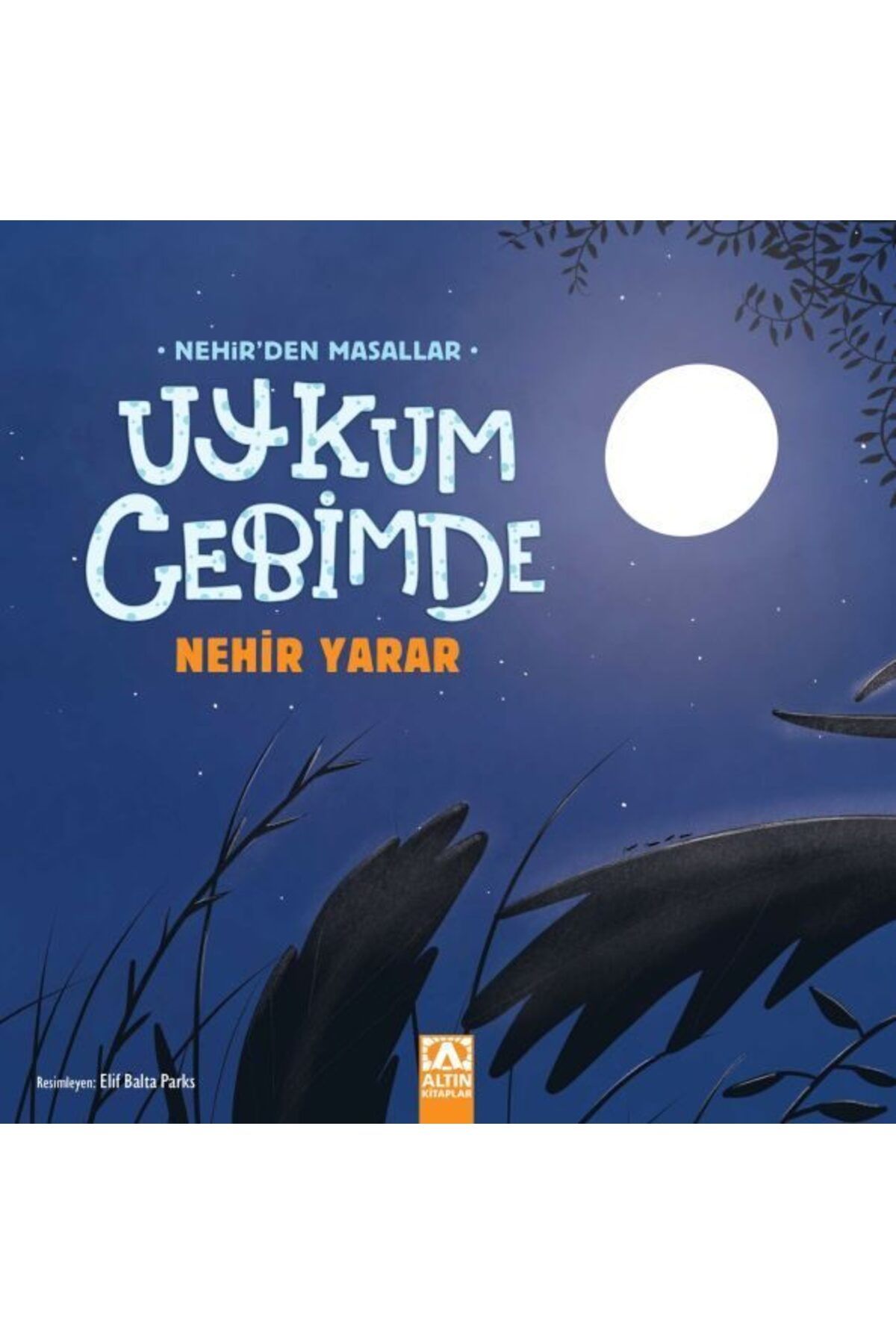 Destek Yayınları Uykum Cebimde