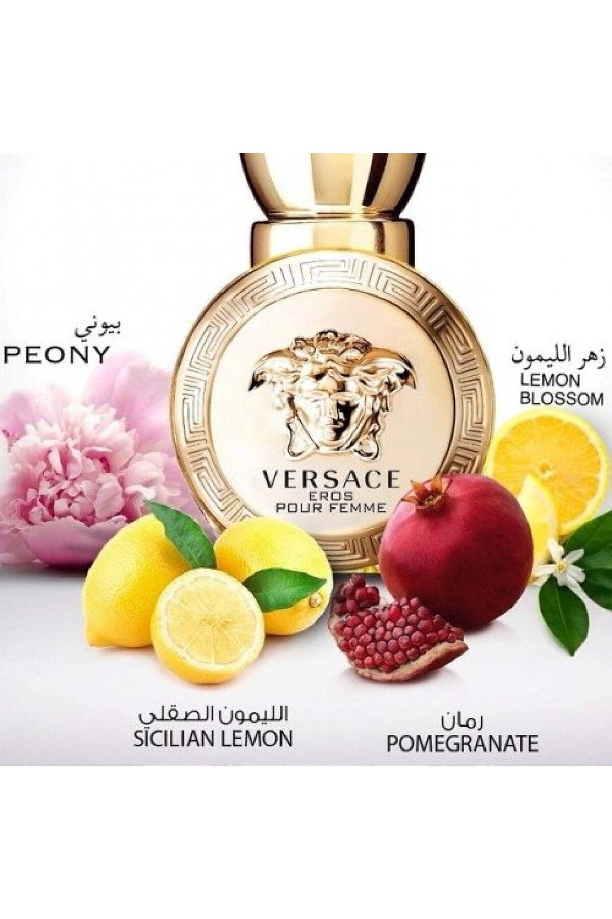 Versace-Versace Eros for Women Eau de Parfum 50ml 4