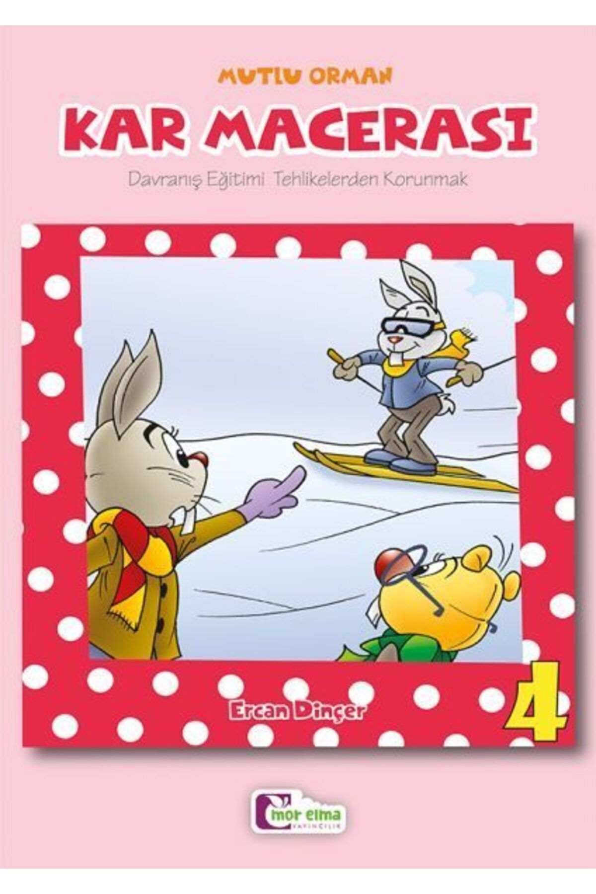 Destek Yayınları Kar Macerası 4