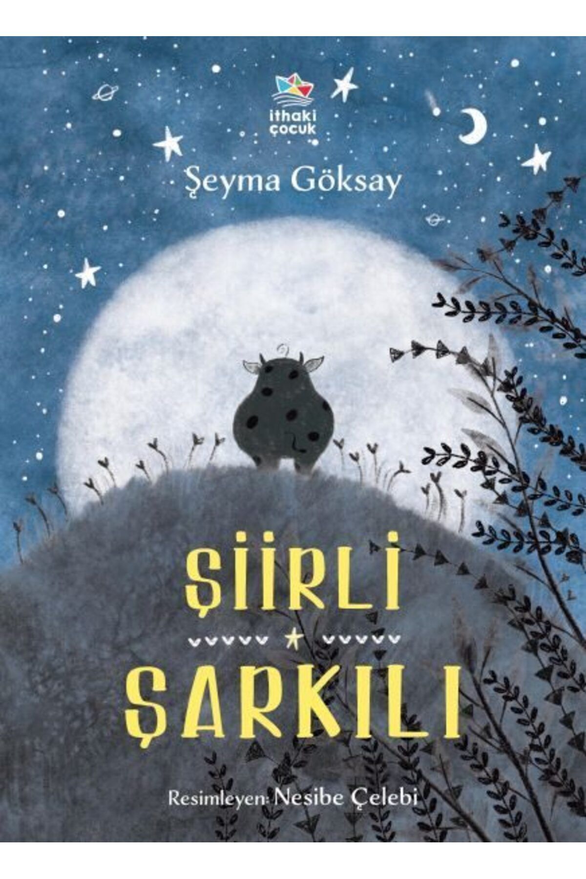 Destek Yayınları Şiirli Şarkılı