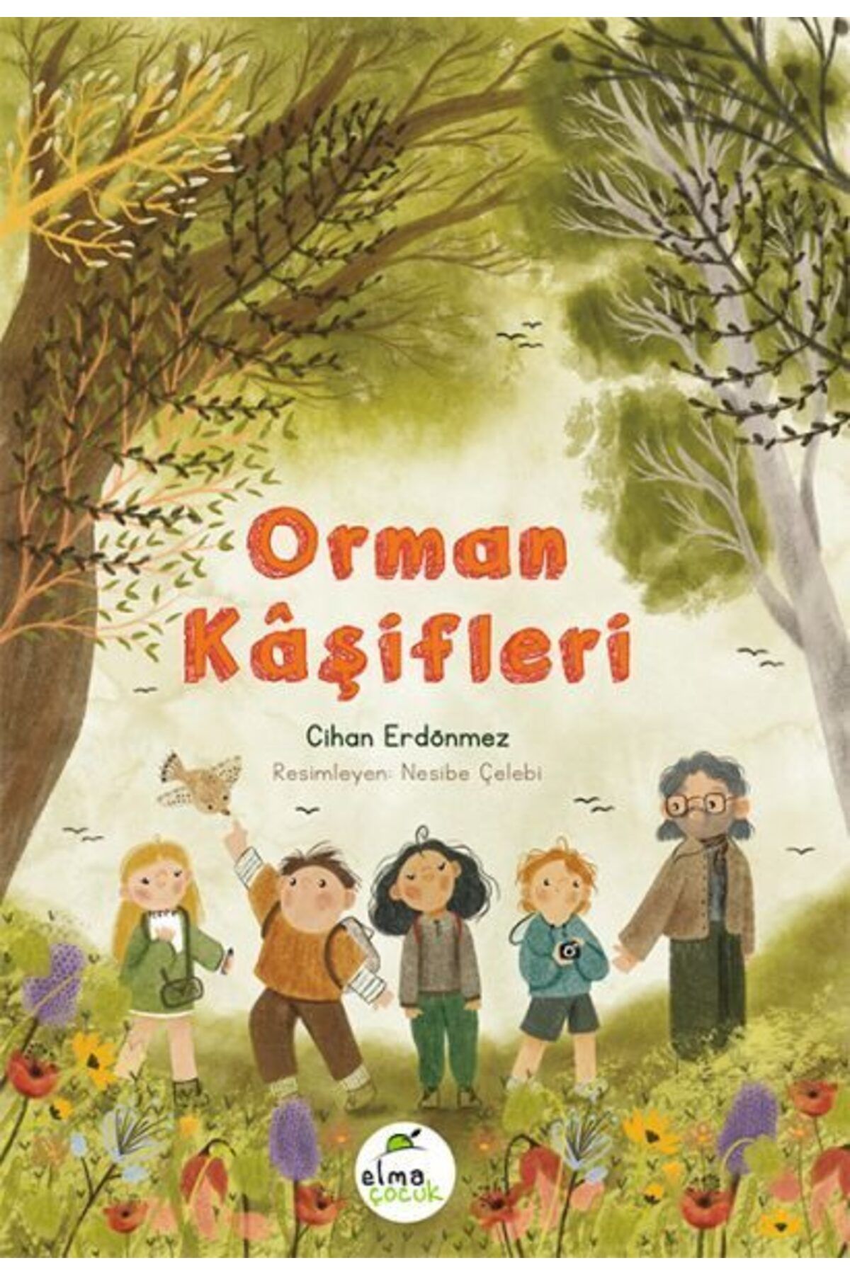 Destek Yayınları Orman Kşifleri