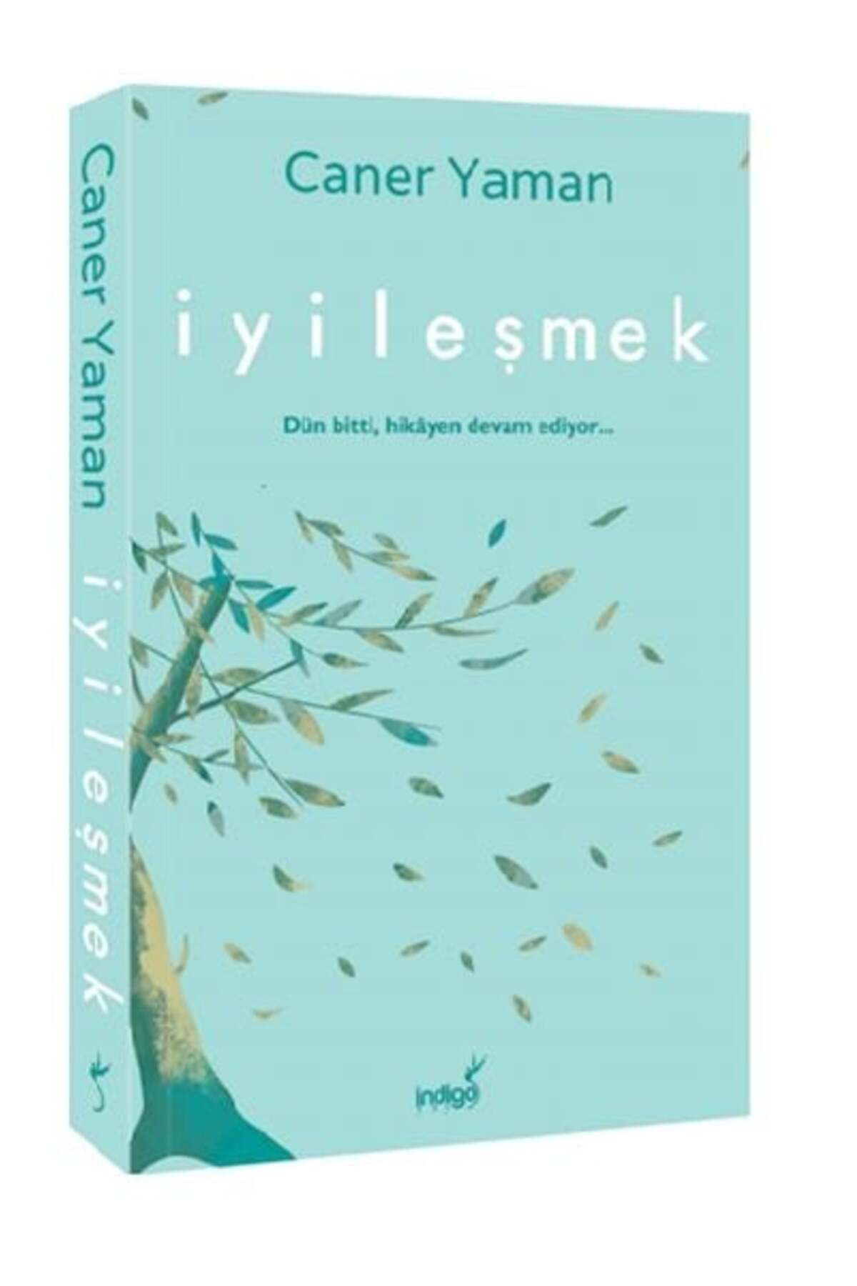 Destek Yayınları İyileşmek