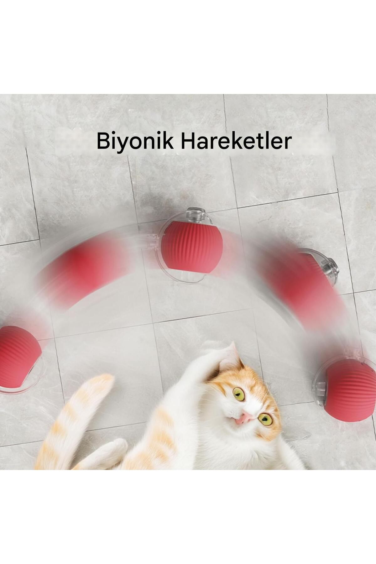 Generic-Smart Automatic Moving Cat and Dog Toy |   Silicone Material, Charged, Three Modes 5