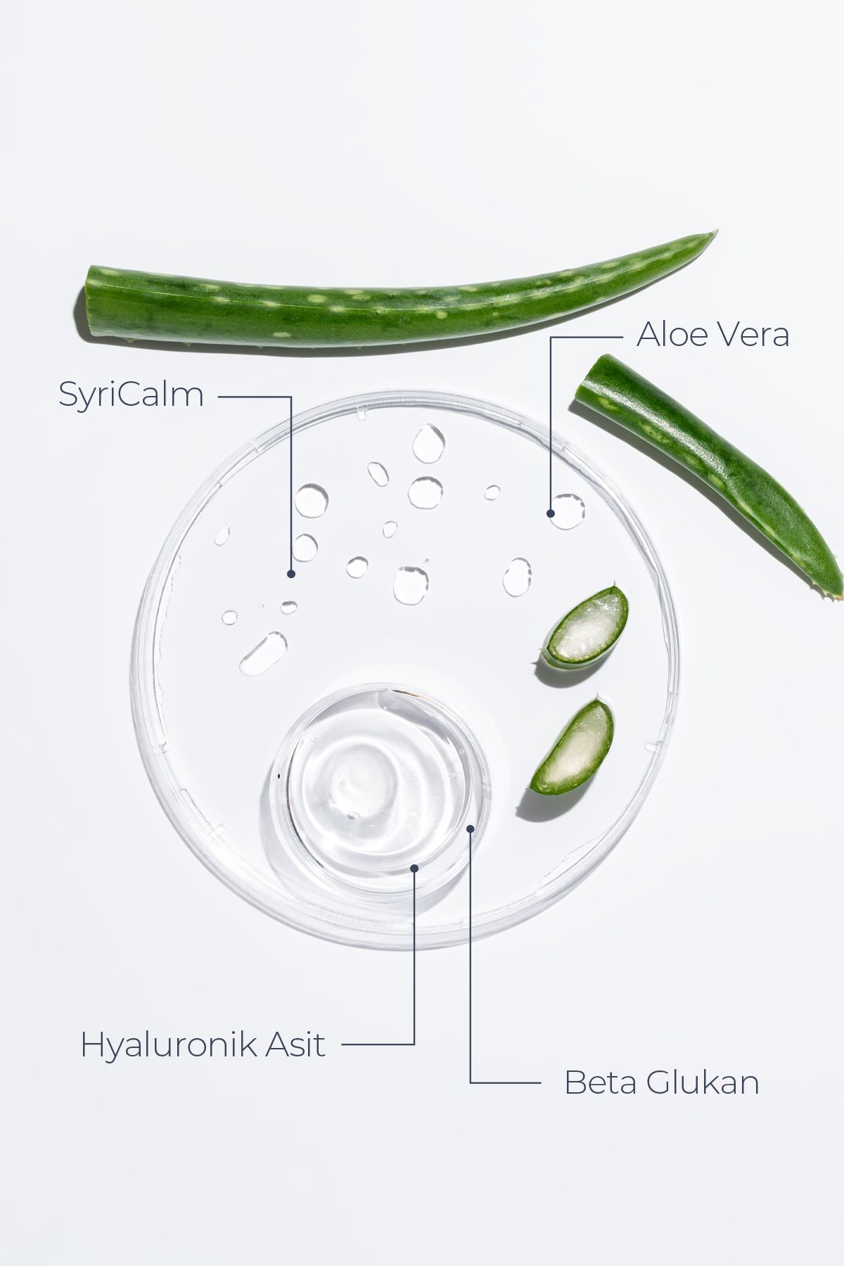 ZAROZA-Scalp Moisturizing Aloe Vera Gel |   Special for Sensitive Scalp - 200 ml 3