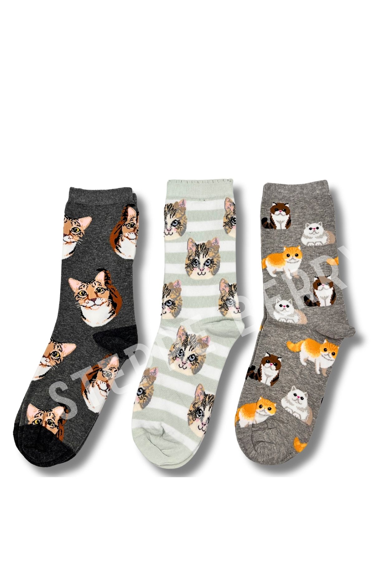 3 Çift Kedi Konsept Kutulu Çorap Seti