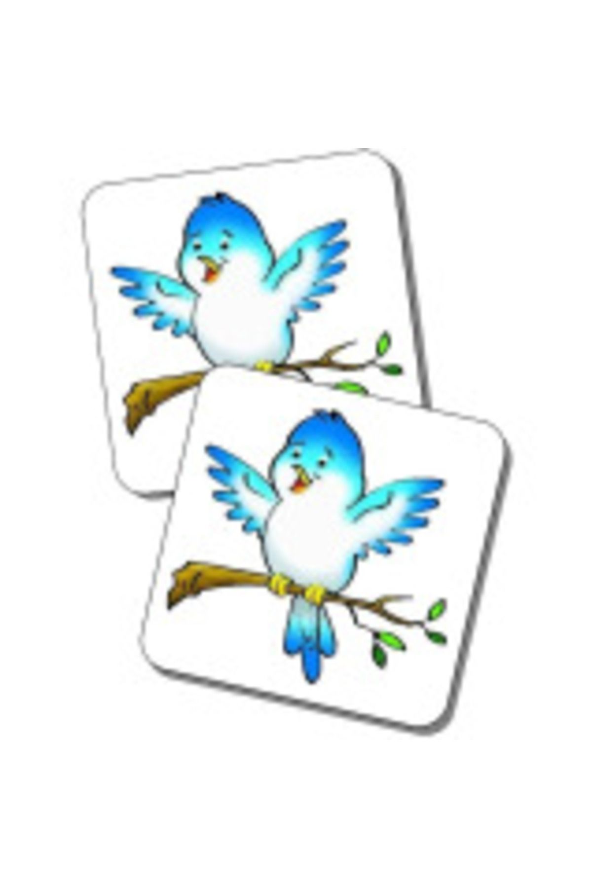 Smart-First Memory Game - Classic Matching Game with 24 Pairs of Beautifully Illustrated Picture Car 8
