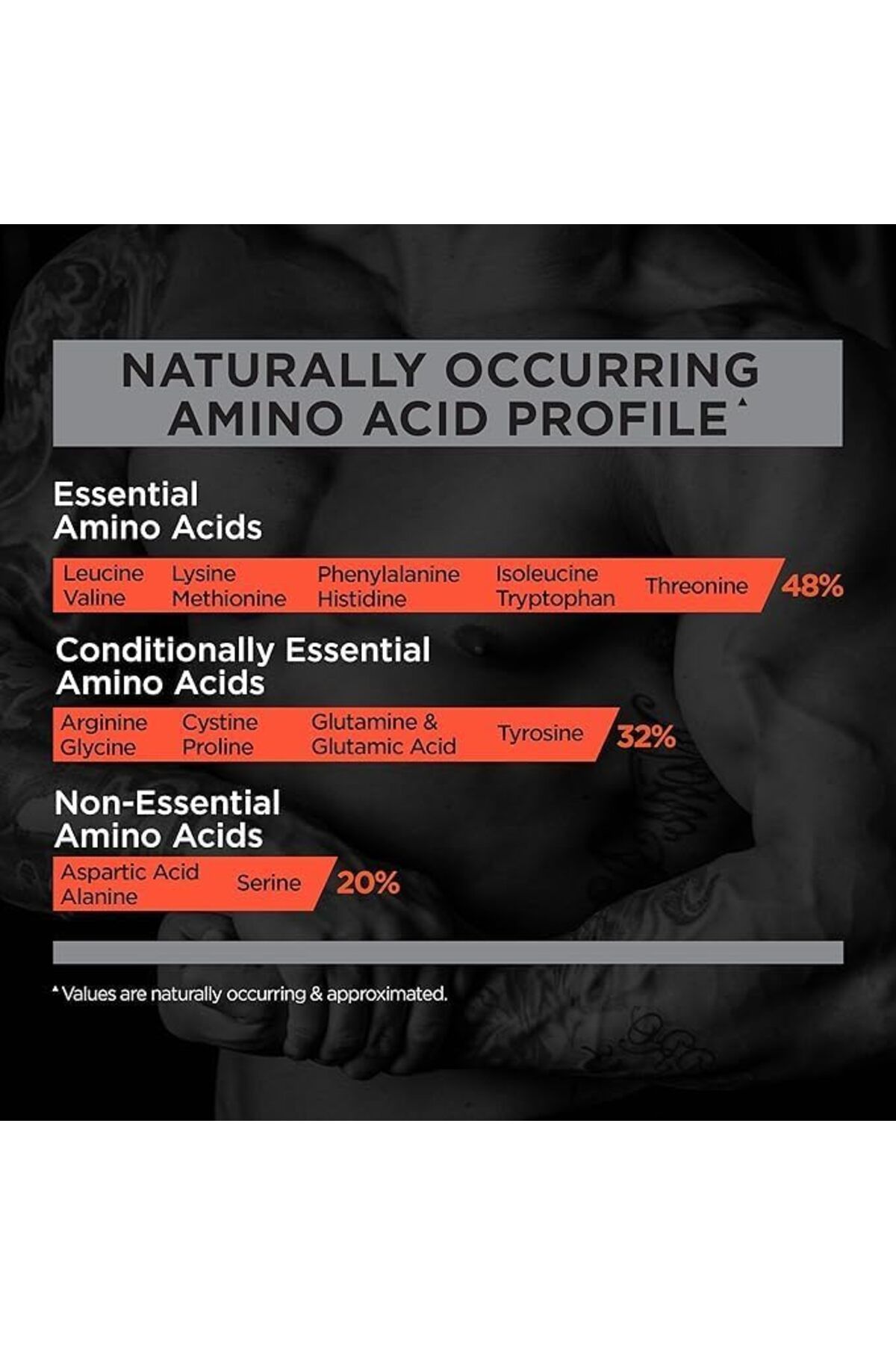 Rule 1-R1 Protein Chocolate Fudge Whey Isolate 5