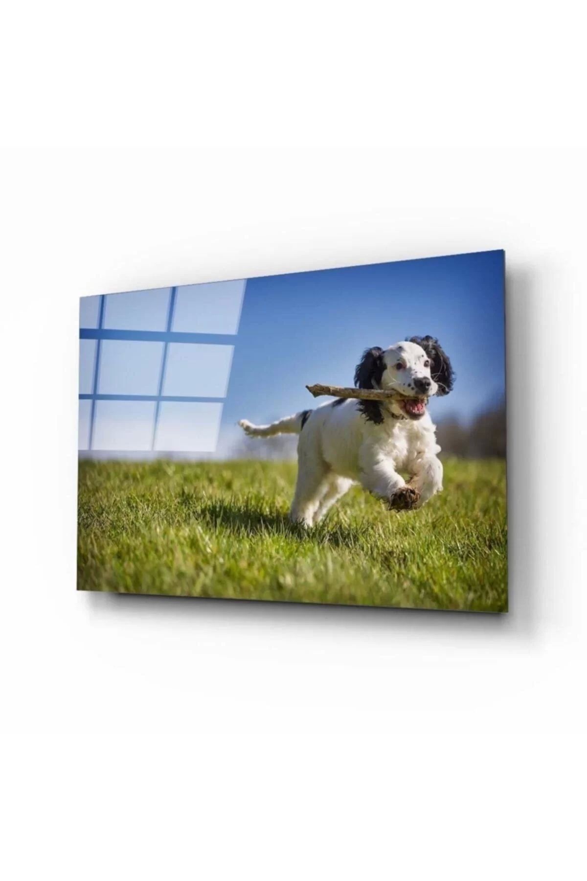 ÖYKÜ VE YİĞİT Köpek 3 Cam Tablo