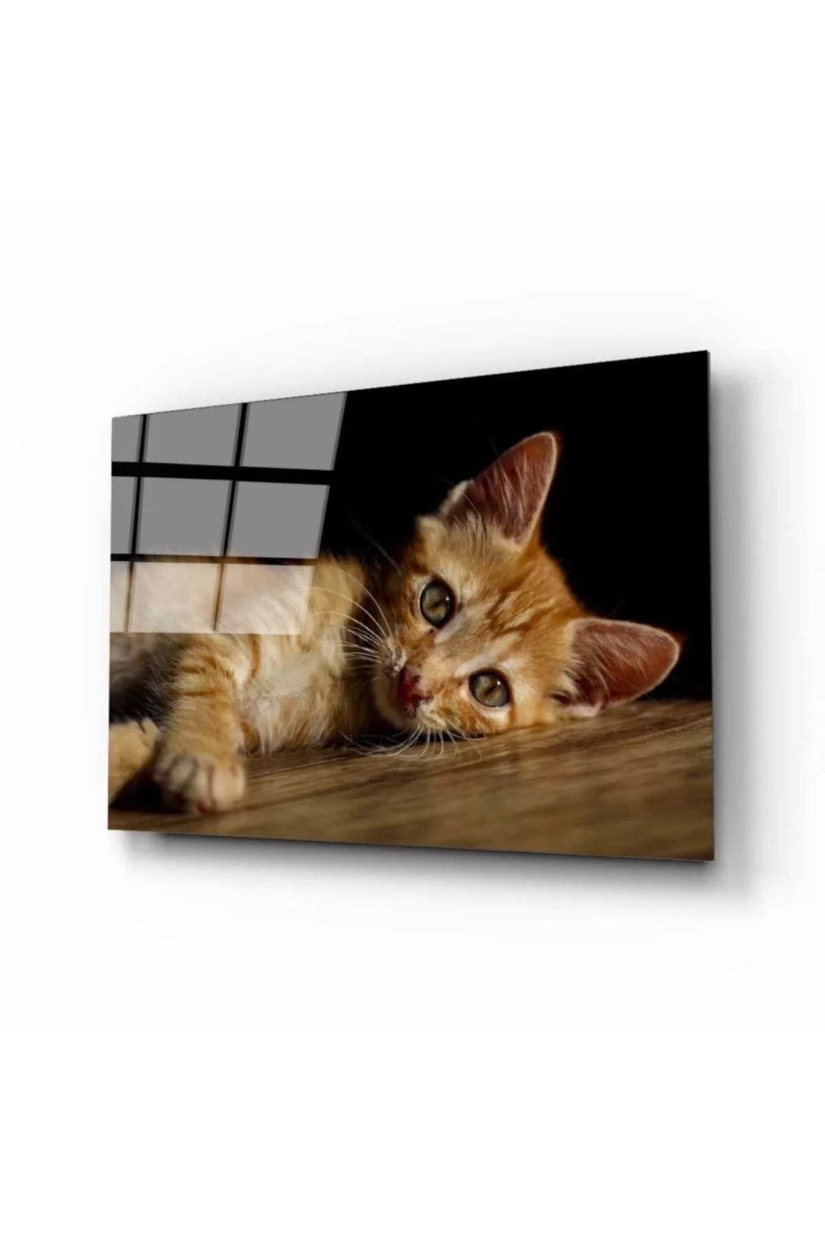 ÖYKÜ VE YİĞİT Kedi 4 Cam Tablo