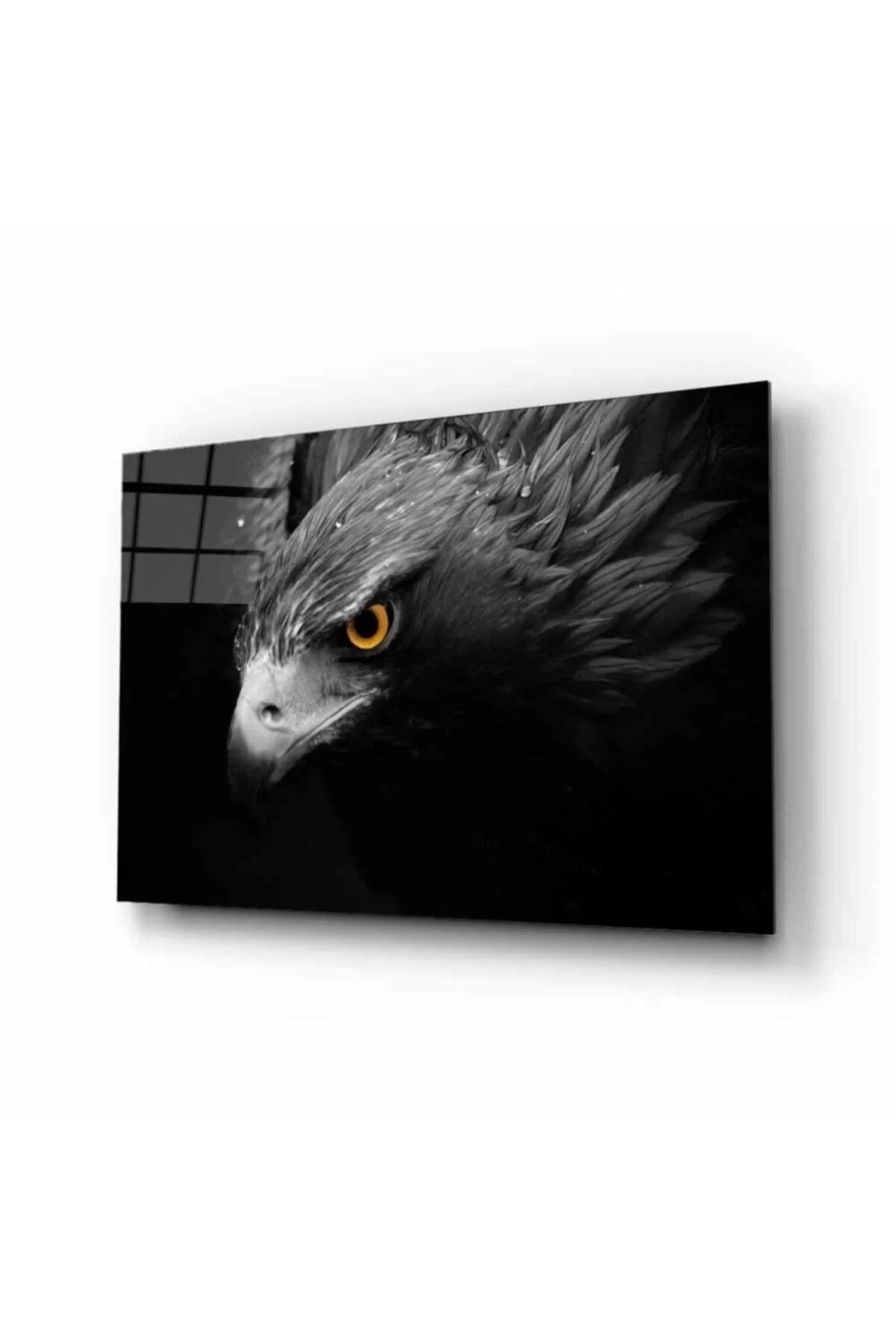ÖYKÜ VE YİĞİT Kartal 4 Hayvan Cam Tablo