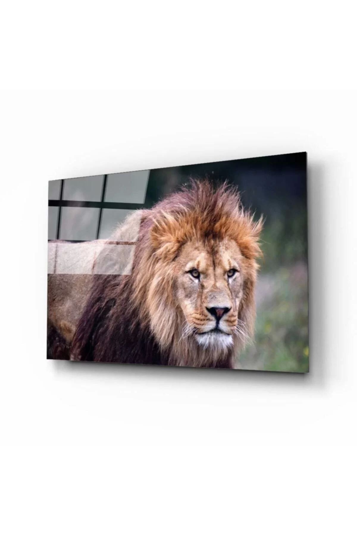 ÖYKÜ VE YİĞİT Aslan 4 Cam Tablo