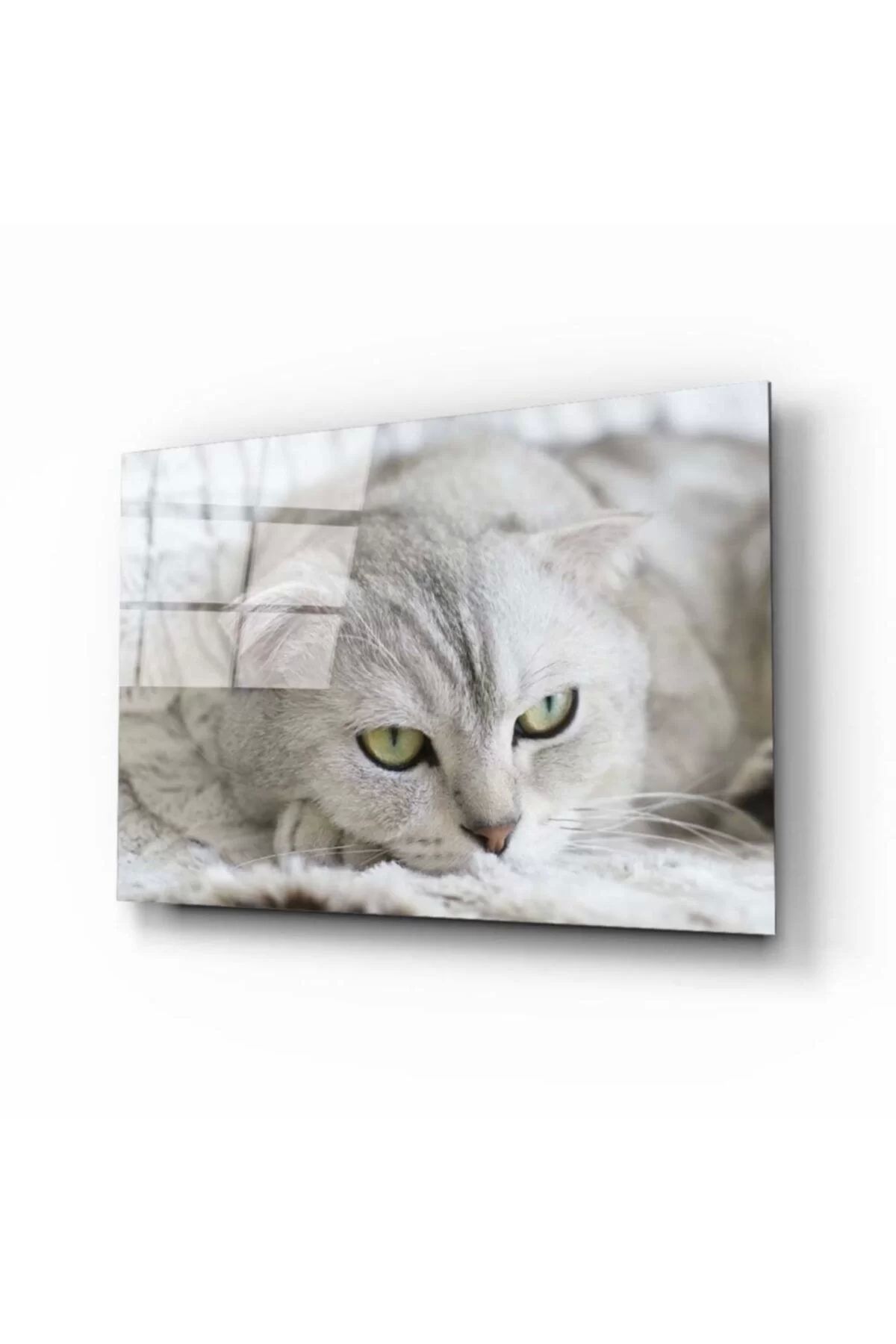 ÖYKÜ VE YİĞİT Kedi Cam Tablo