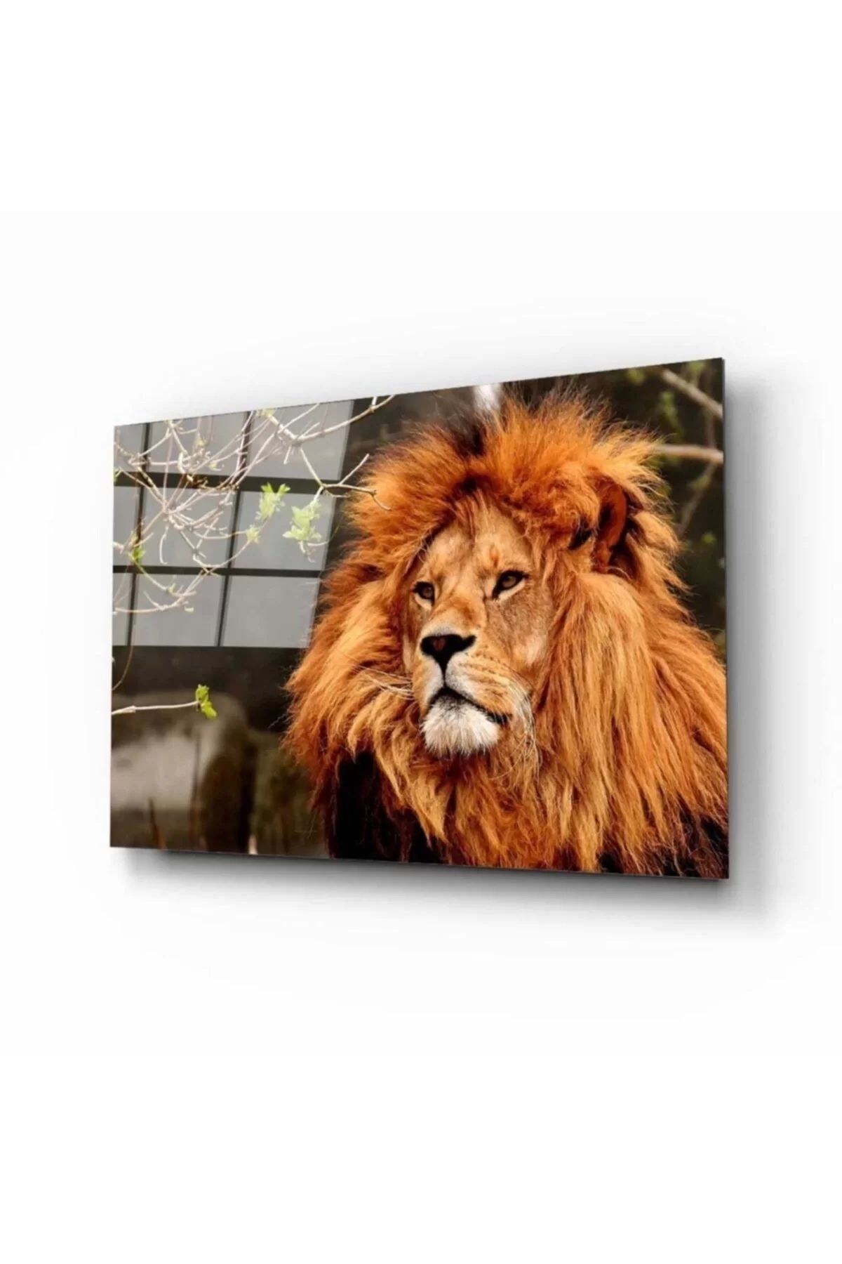 ÖYKÜ VE YİĞİT Aslan 3 Cam Tablo