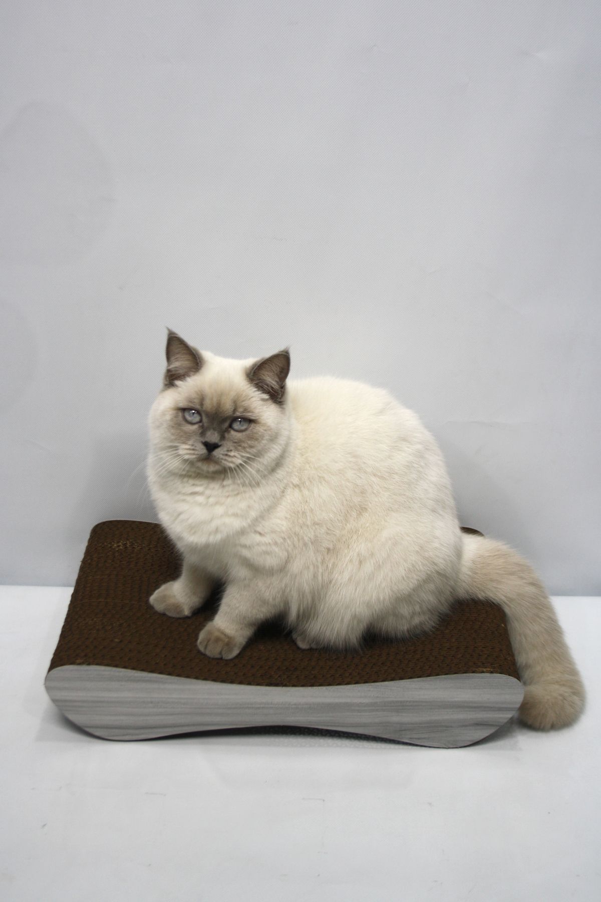 Lazy Paws-Cardboard Cat Scratch Sofa - Set of 4 - Gray Wood Pattern 5