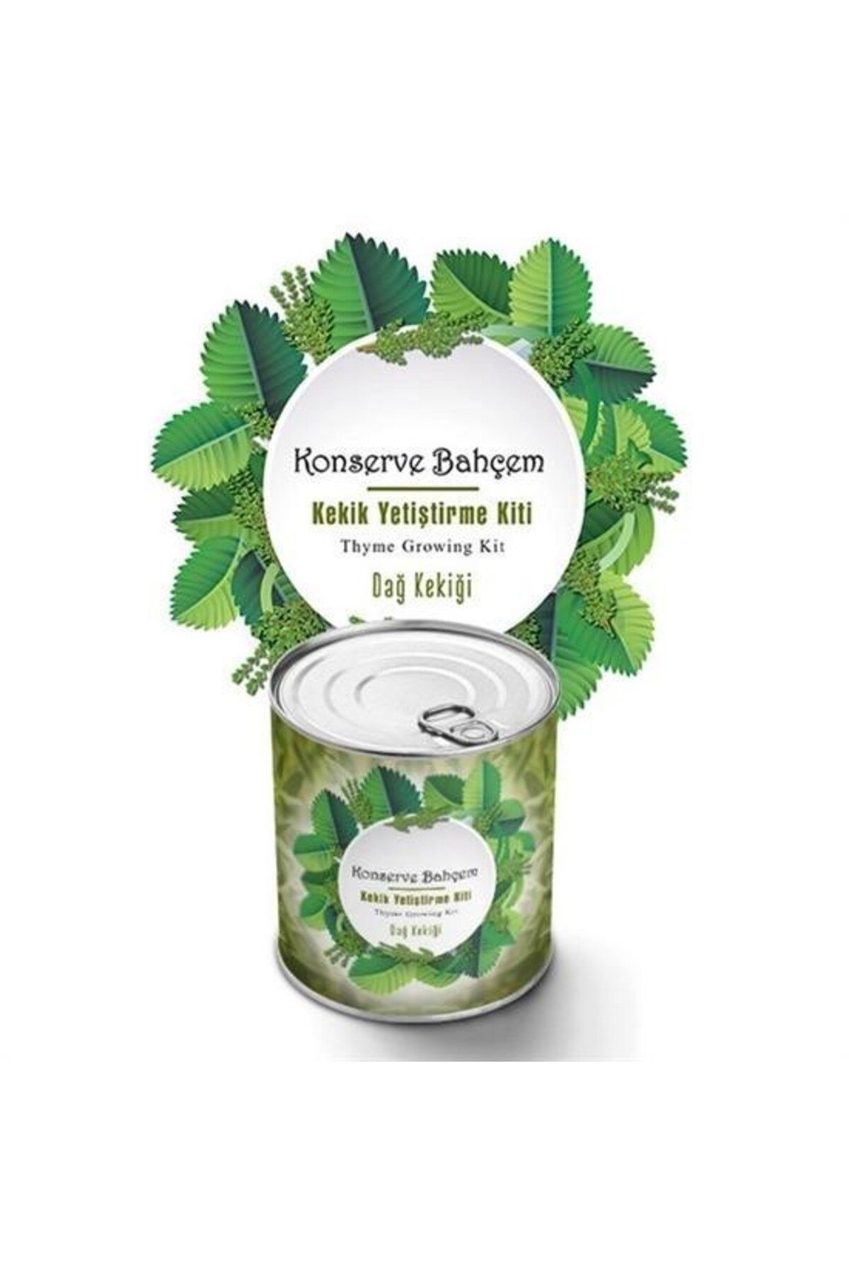Allproduct ® Konserve Bahçem Evde Konservede Kekik Dağ Kekiği Yetiştirme Kiti