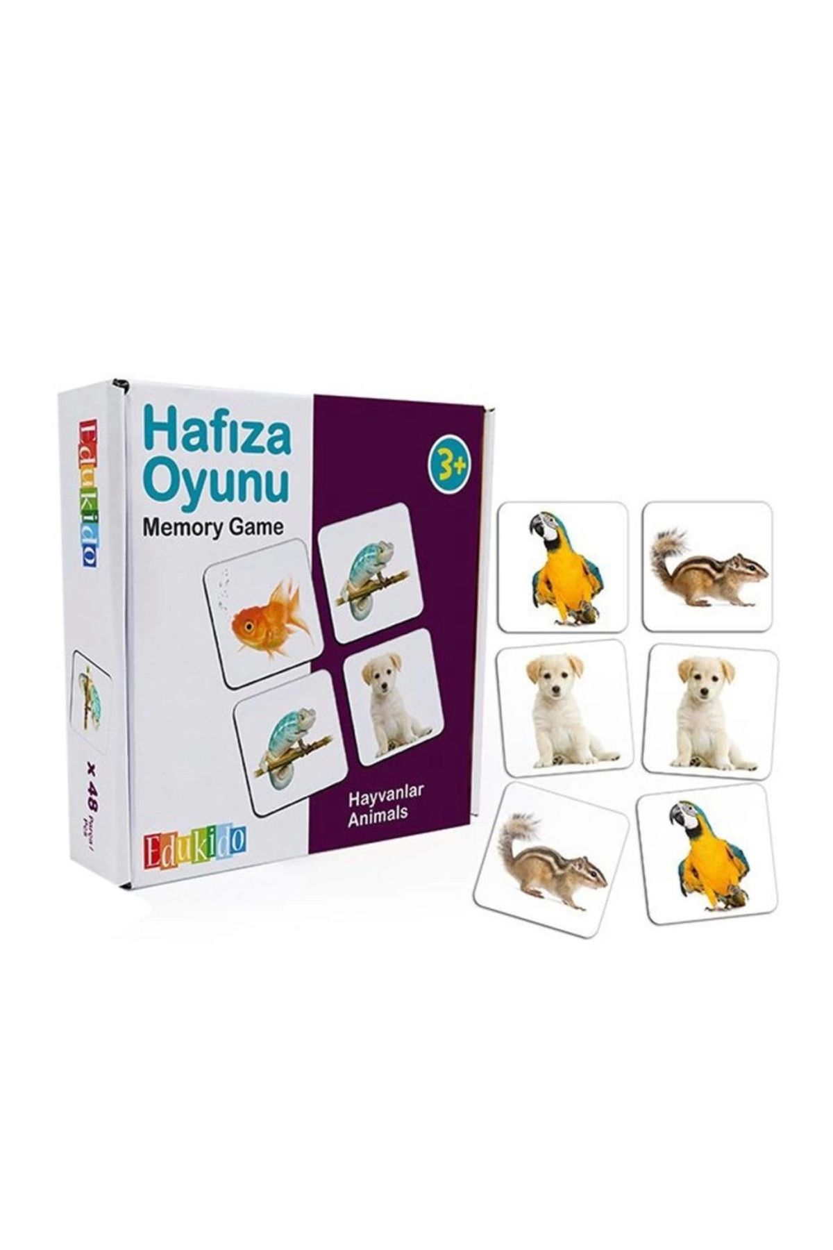 robotrend Hafıza Oyunu Gerçek Hayvanlar - Çocuklar İçin Eğitici Hafıza Oyunu