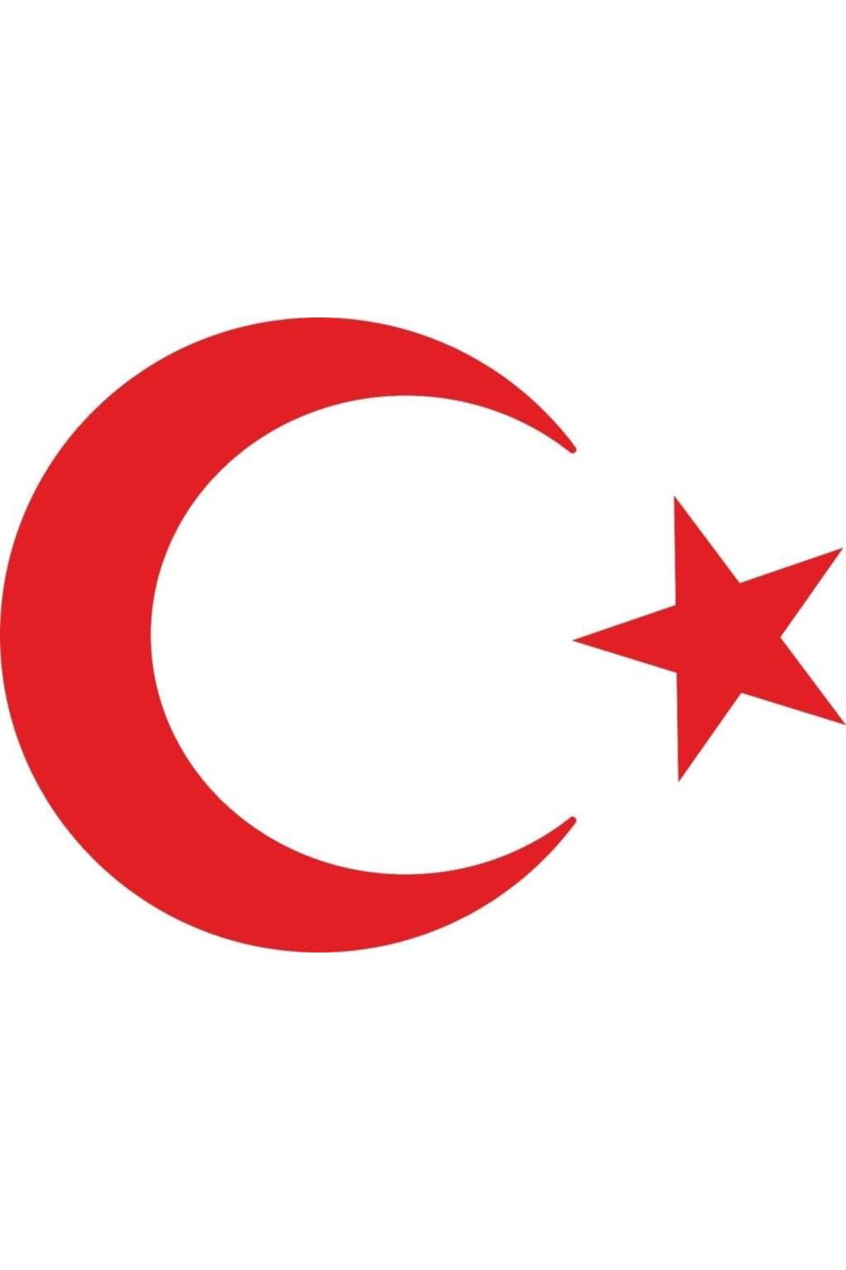 KDROĞLU KDROGLU Masters Türk Bayrağı Sticker 20 Cm New Desing 1109836