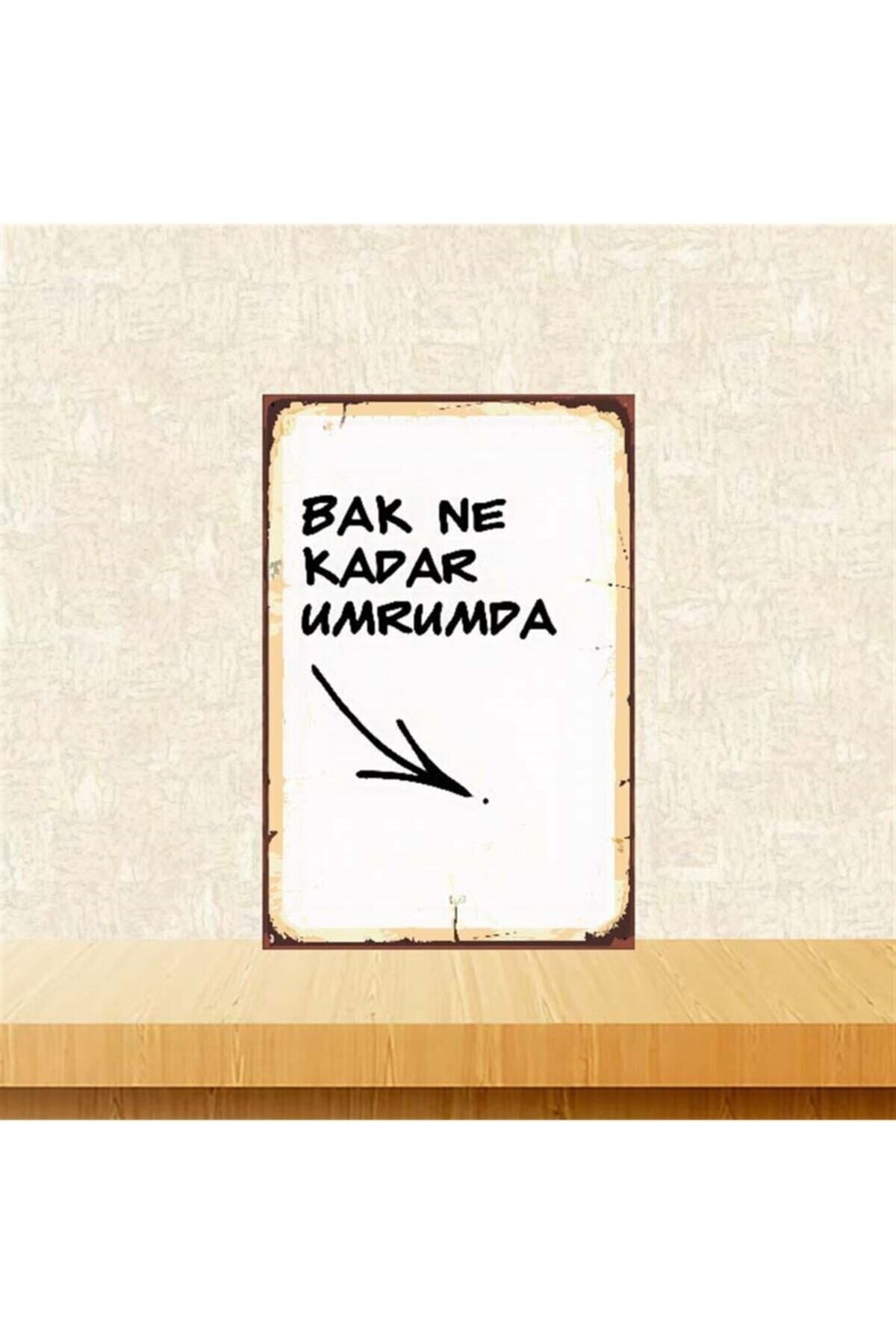 TAKIFİX Bak Ne Kadar Umrumda 20-30 Cm Retro Ahşap Poster