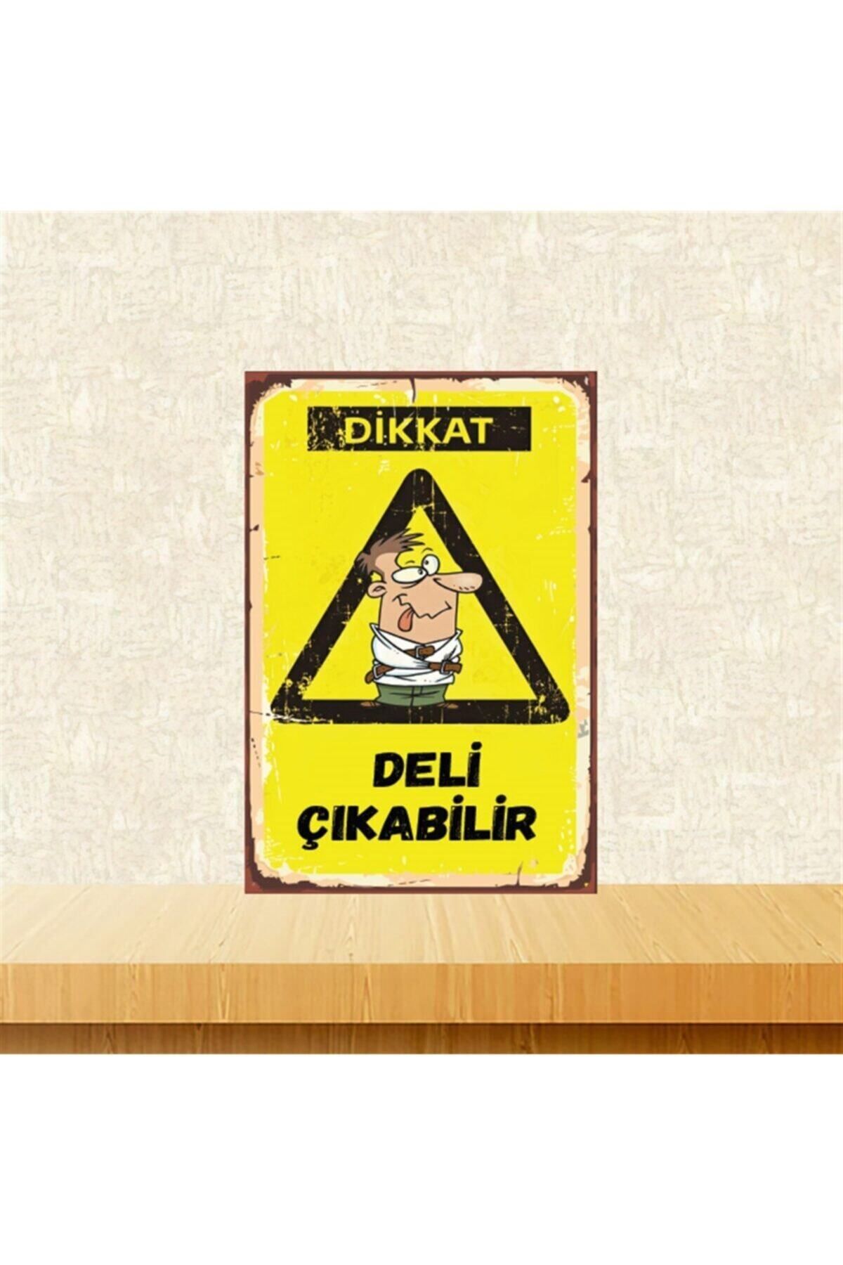 TAKIFİX Dikkat Deli Çıkabilir 20-30 Cm Retro Ahşap Poster Tkfx4411