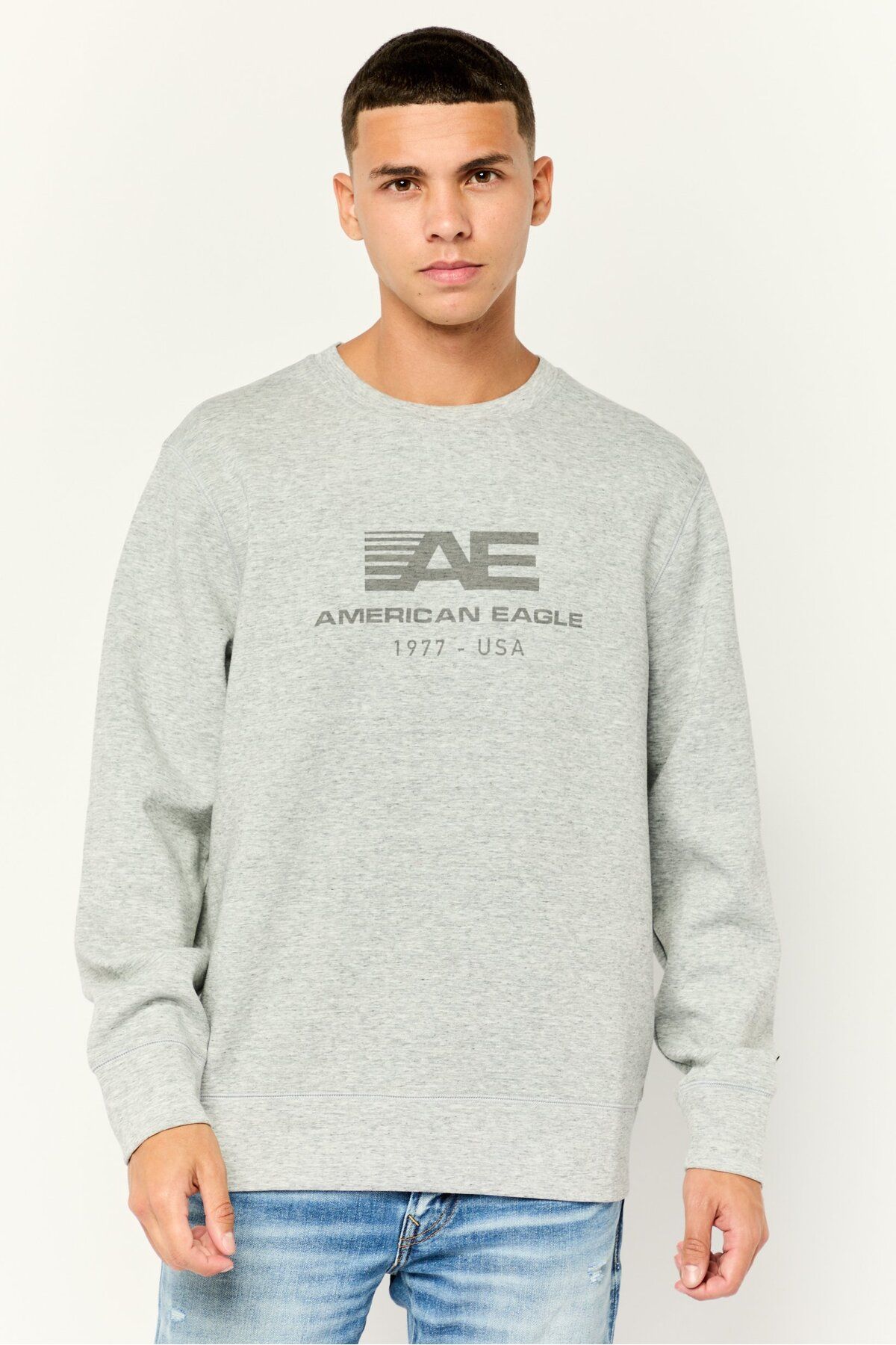 AMERICAN EAGLE-Men Crew Neck Long Sleeves Brand Logo Sweatshirt, Grey 1