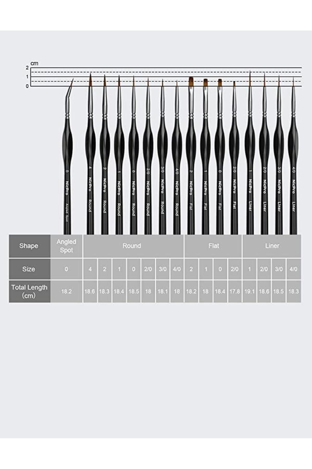 valkyrie-Giorgione 15 Pieces Professional Paint Brush Set 6
