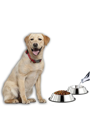 Pawblem Lab Paslanmaz Çelik Metal Mama Kabı 34 cm