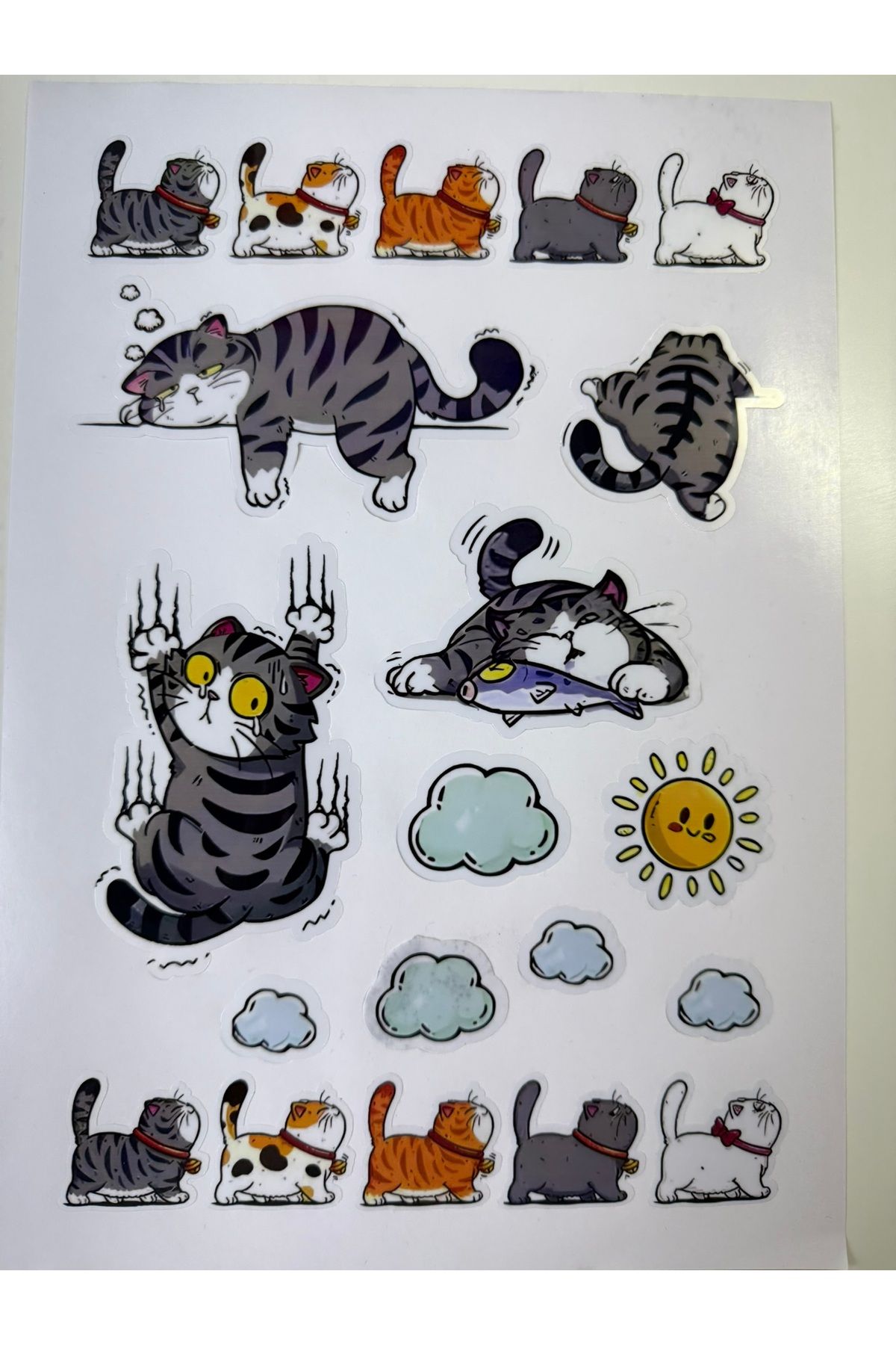 cakaybu Kedi Cat Sticker ( Etiket ) notebook,kask, duvar, bisiklet, motosiklet, dolap, kapı A4 Boyutlarında