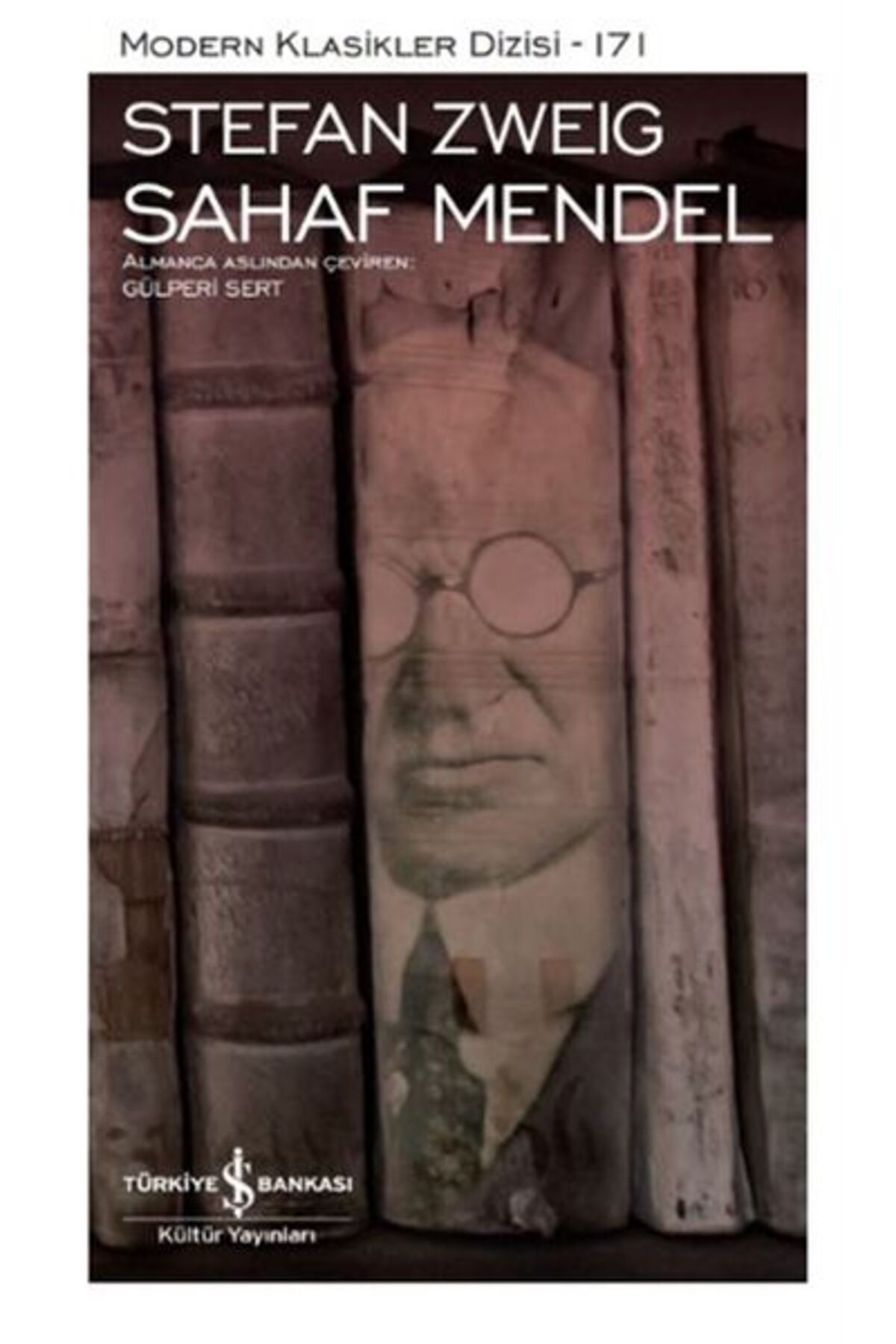 Destek Yayınları Sahaf Mendel Modern Klasikler Dizisi