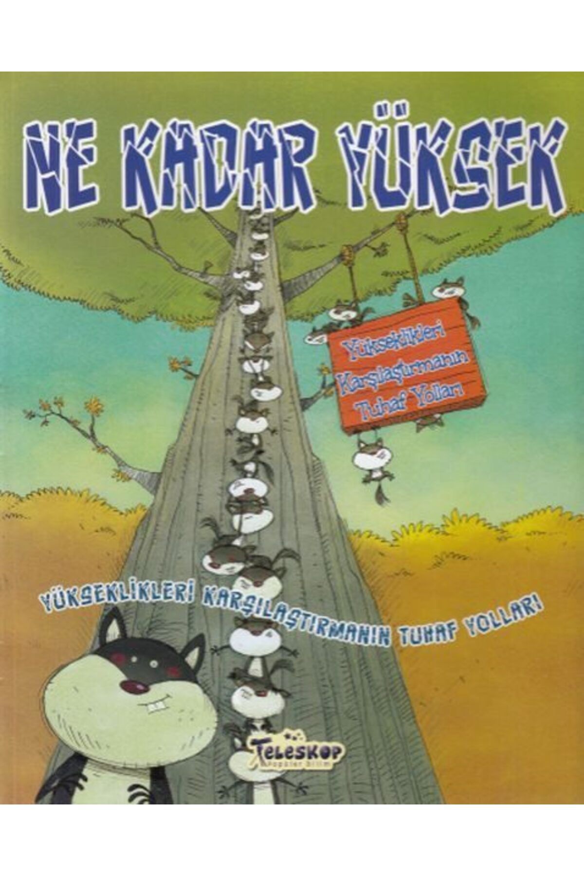 Destek Yayınları Yükseklikleri Karşılaştırmanın Tuhaf Yolları Ne Kadar Yüksek