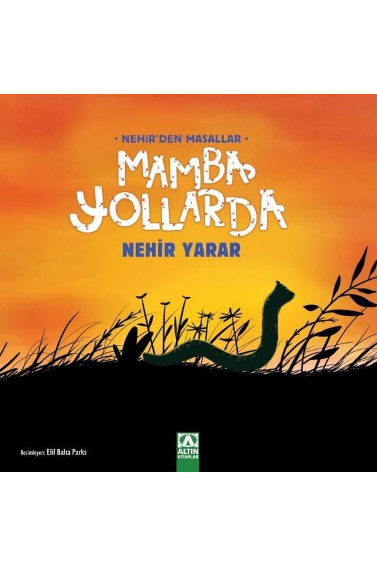 Destek Yayınları Mamba Yollarda