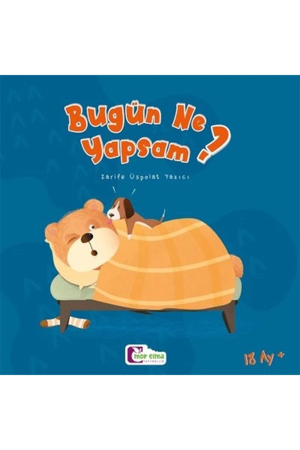 Destek Yayınları Bugün Ne Yapsam