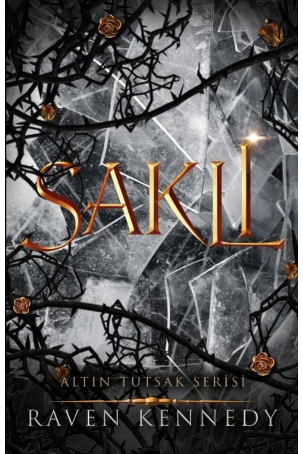 Destek Yayınları Saklı