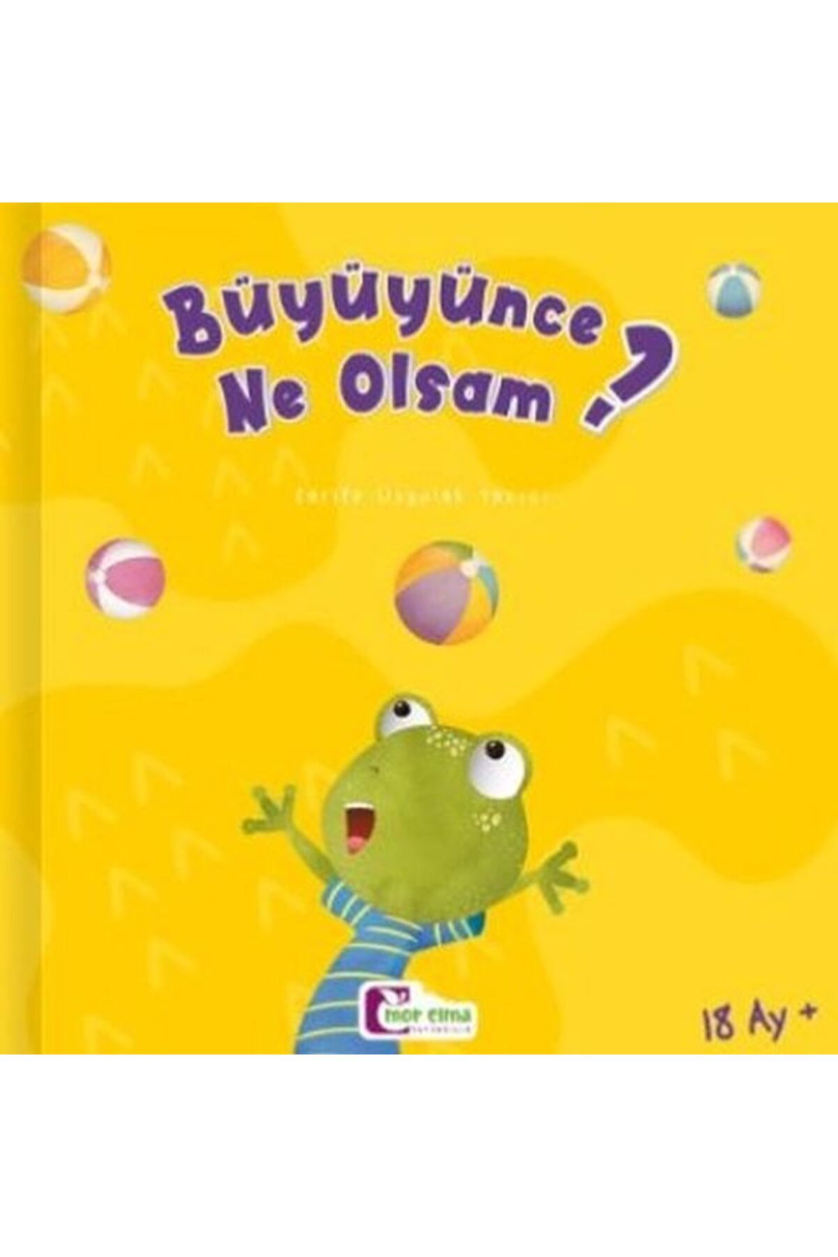 Destek Yayınları Büyüyünce Ne Olsam