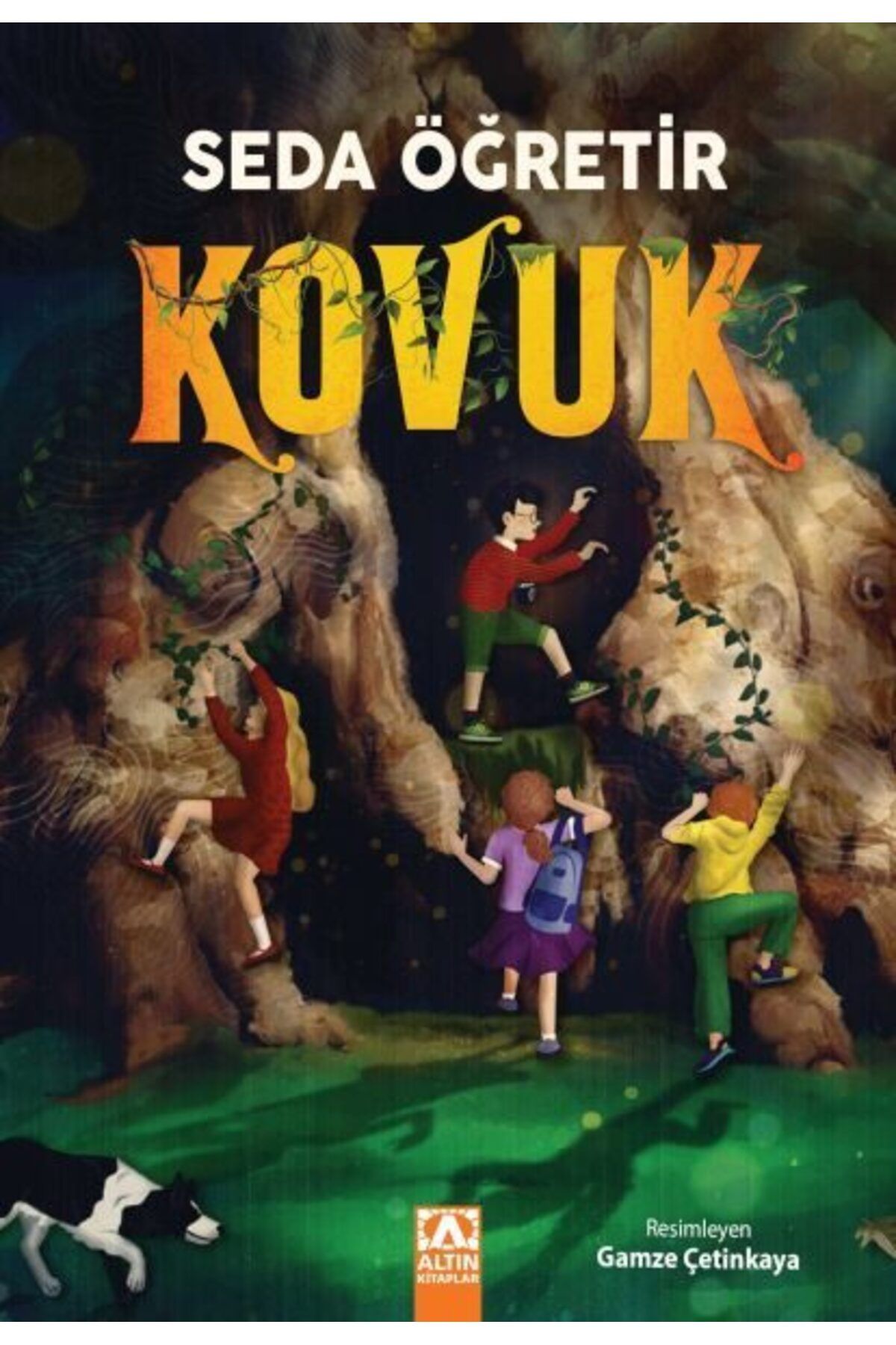 Destek Yayınları Kovuk