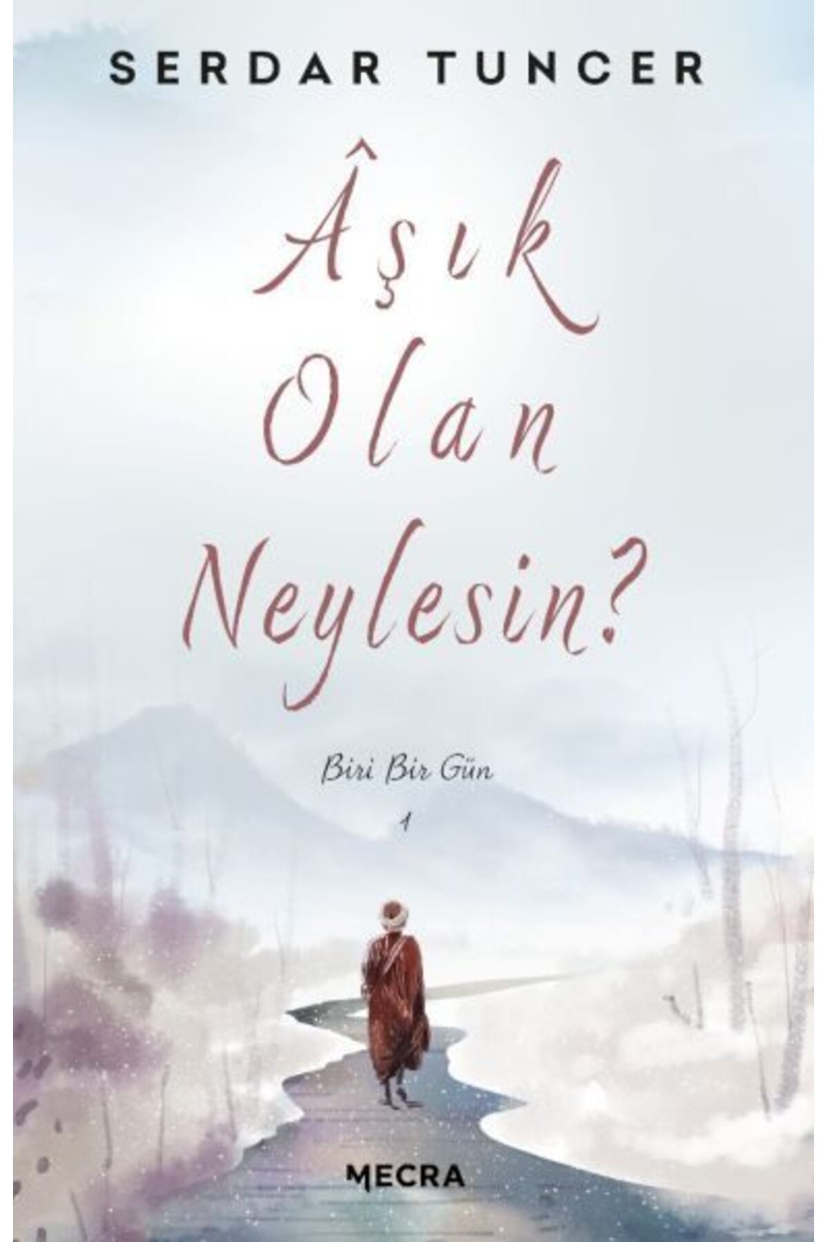 Destek Yayınları Aşık Olan Neylesin