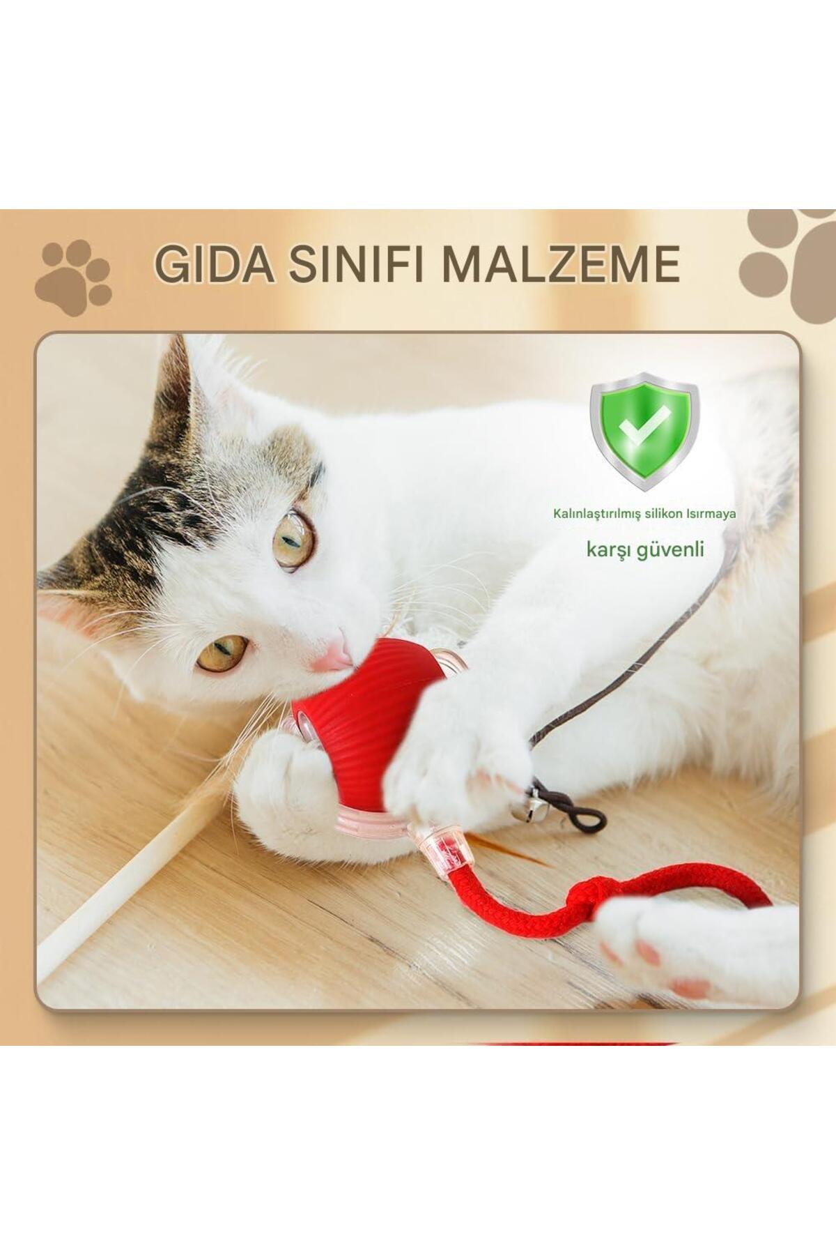 Generic-Smart Automatic Moving Cat and Dog Toy |   Silicone Material, Charged, Three Modes 3