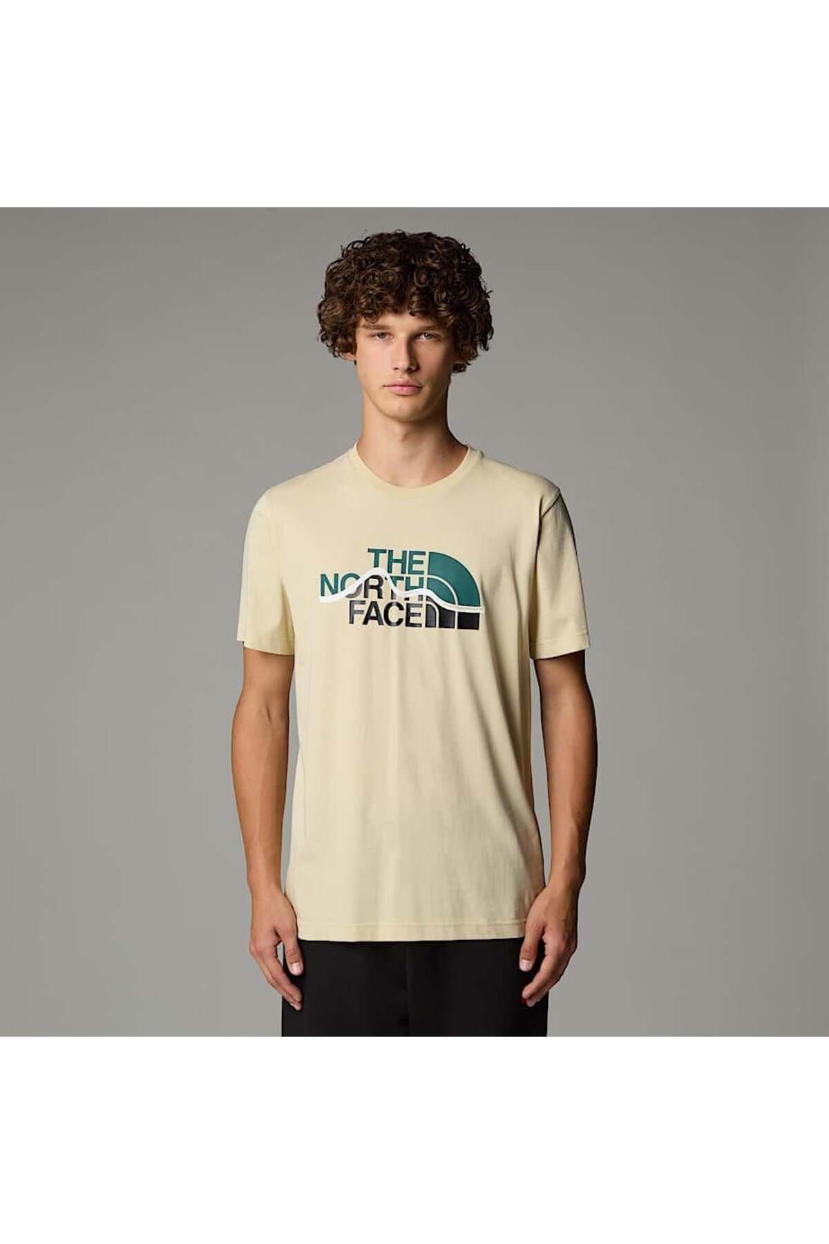 نورث فیس M SS MOUNTAIN LINE TEE GRAVEL