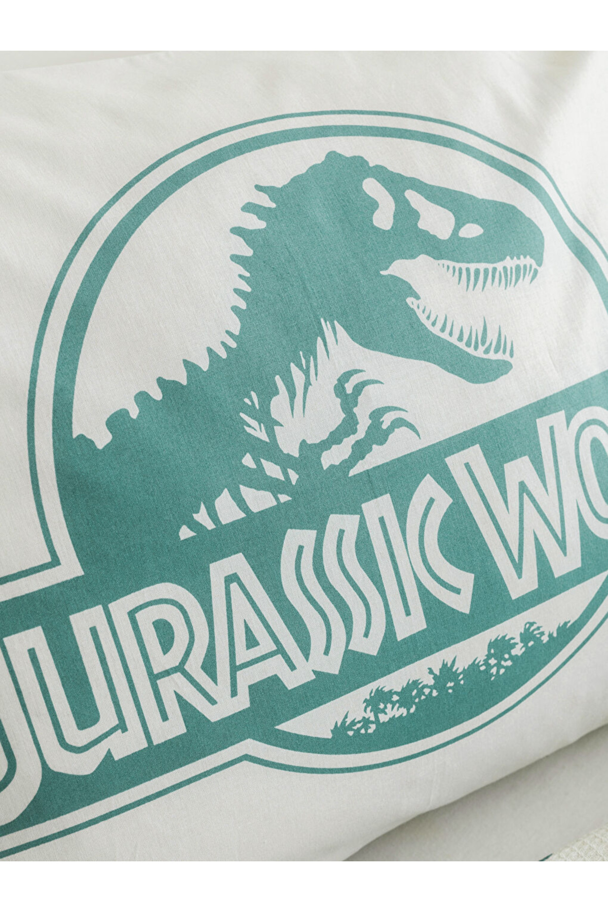 LC Waikiki-Lcw Home Mixed Dinosaur Printed Single Child Pique Set 4