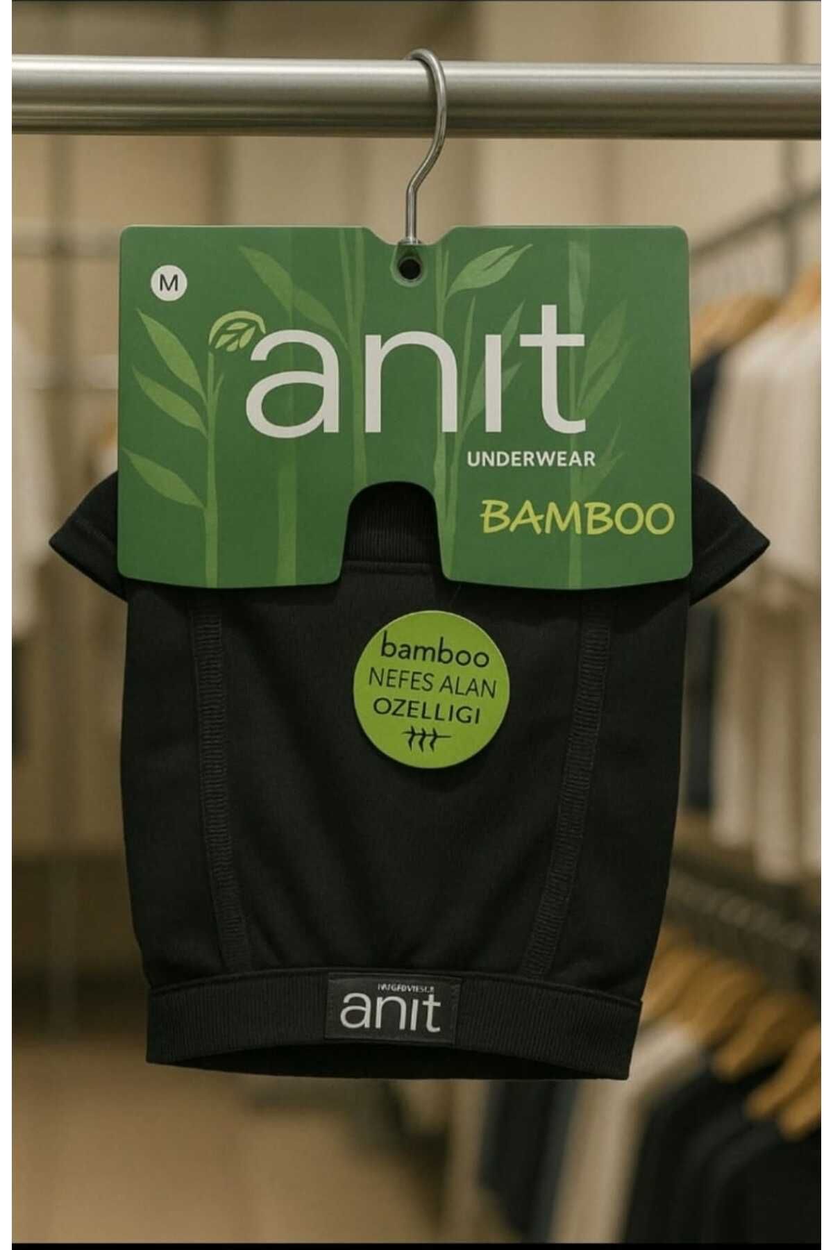 Anıt erkek boxer