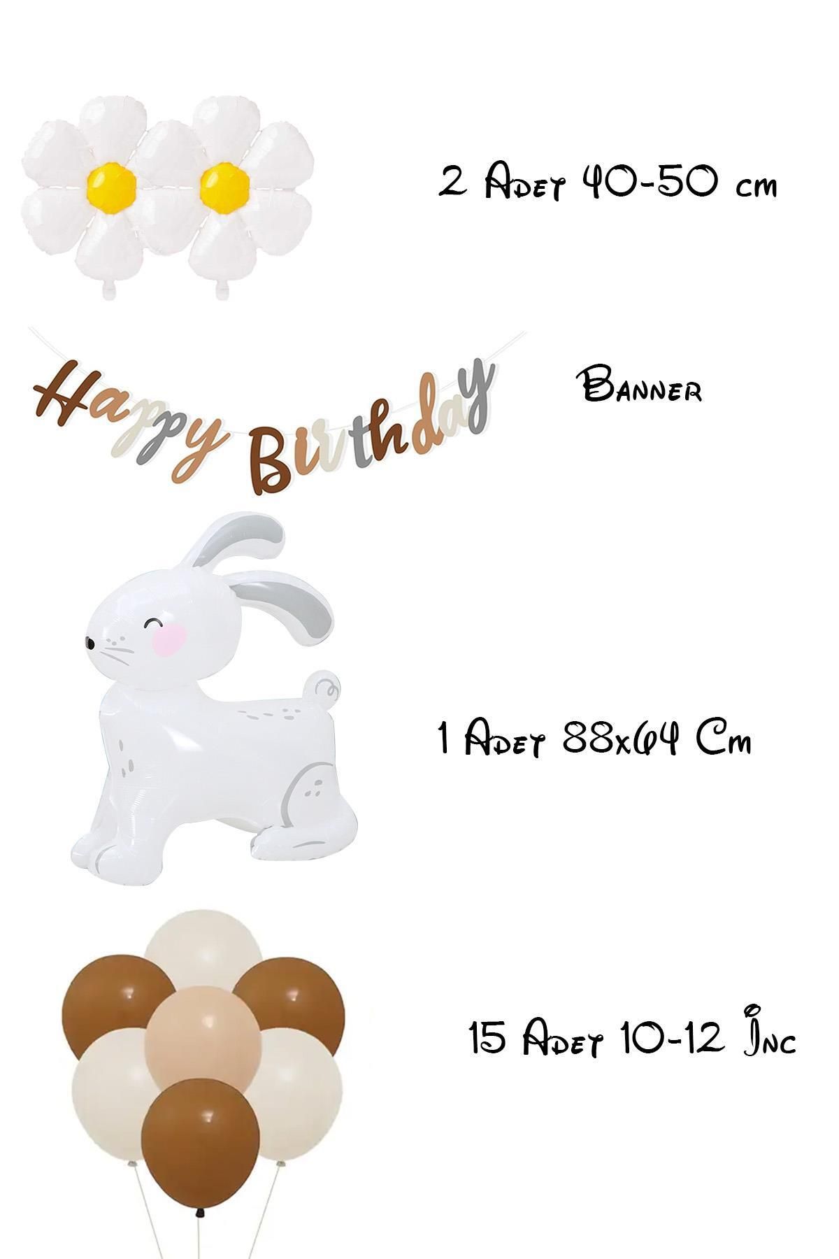 Patladı Gitti-Retro Birthday Set with Daisy and Oversized 3D White Rabbit Design 2